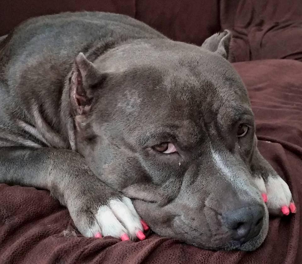 Cardboard Display with 18 Nail Polish Pens - Basic Colors