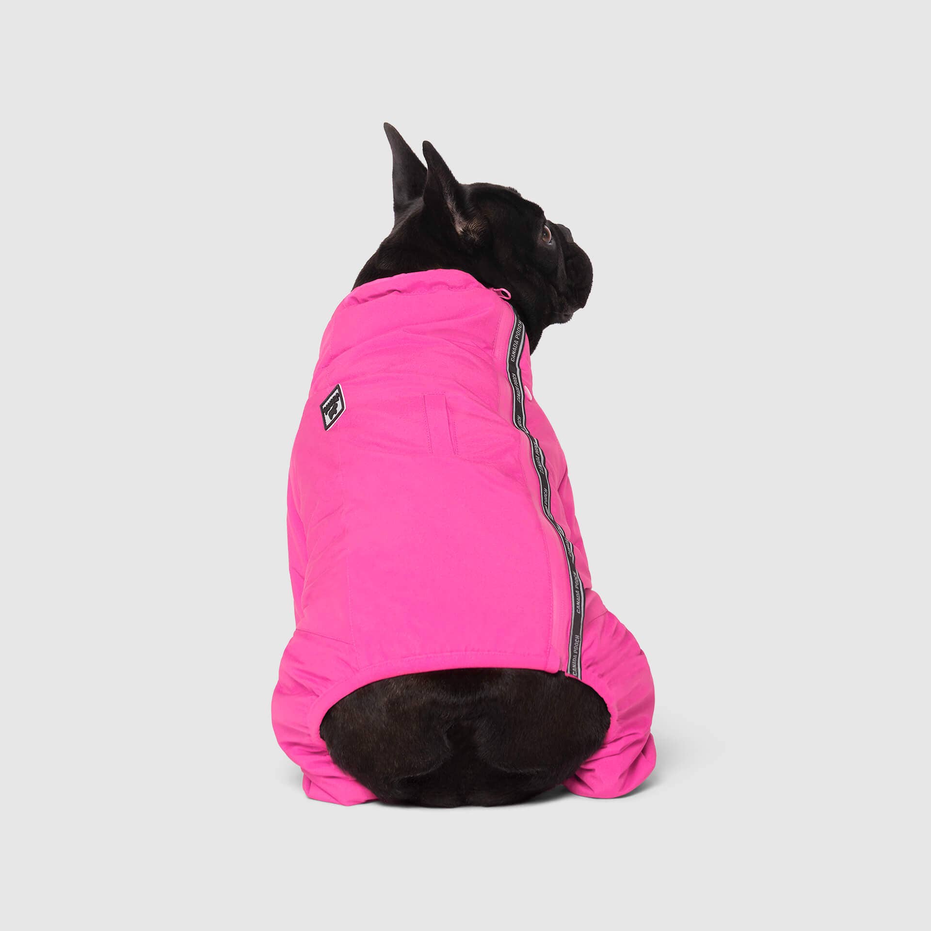 Canada Pooch - The Snow Suit- Dog Suit: Black / 8