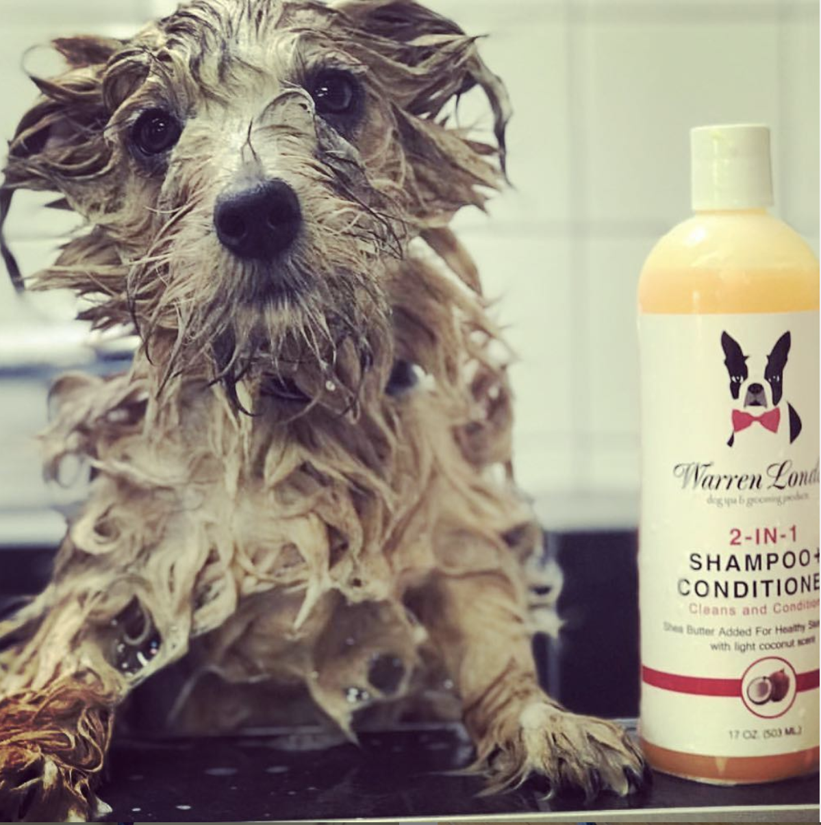 Warren London Dog Products - Shampoo: 2in1 plus Conditioner - 2 Sizes: 17oz