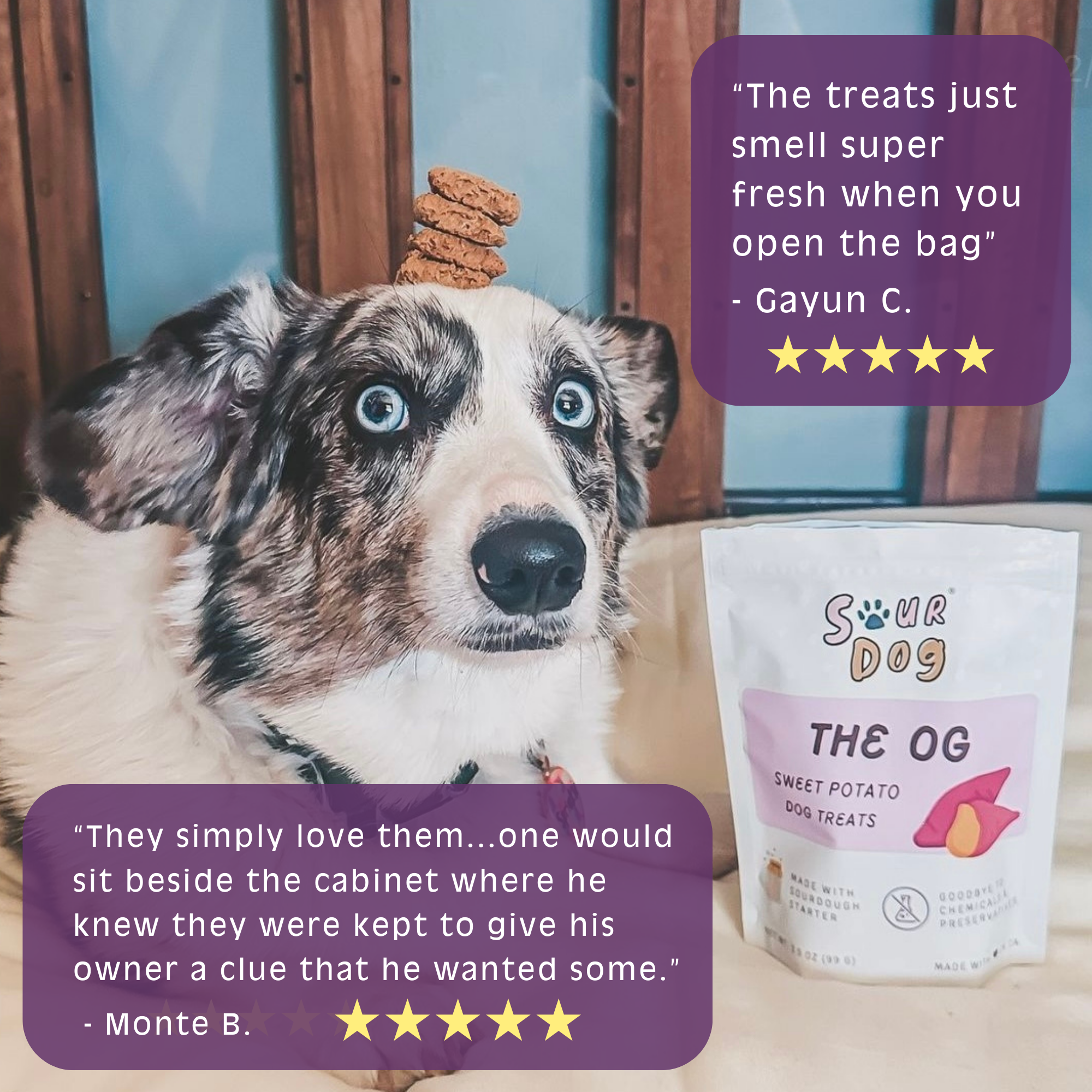 SourDog - The OG - Sweet Potato Sourdough Dog Treats