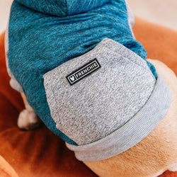 Frenchie - Frenchie Dog Hoodie - Blue & Grey: M