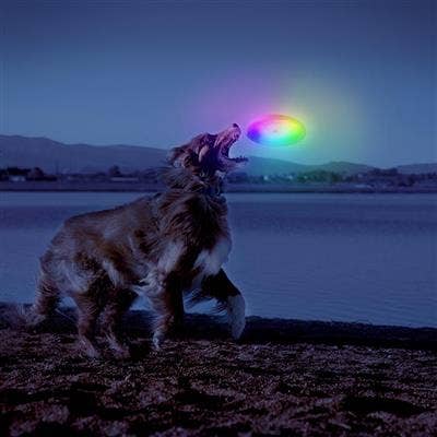 Pet Palette Distribution - Nite Ize Flashflight Dog Discuit LED Flying Disc - Disc-O