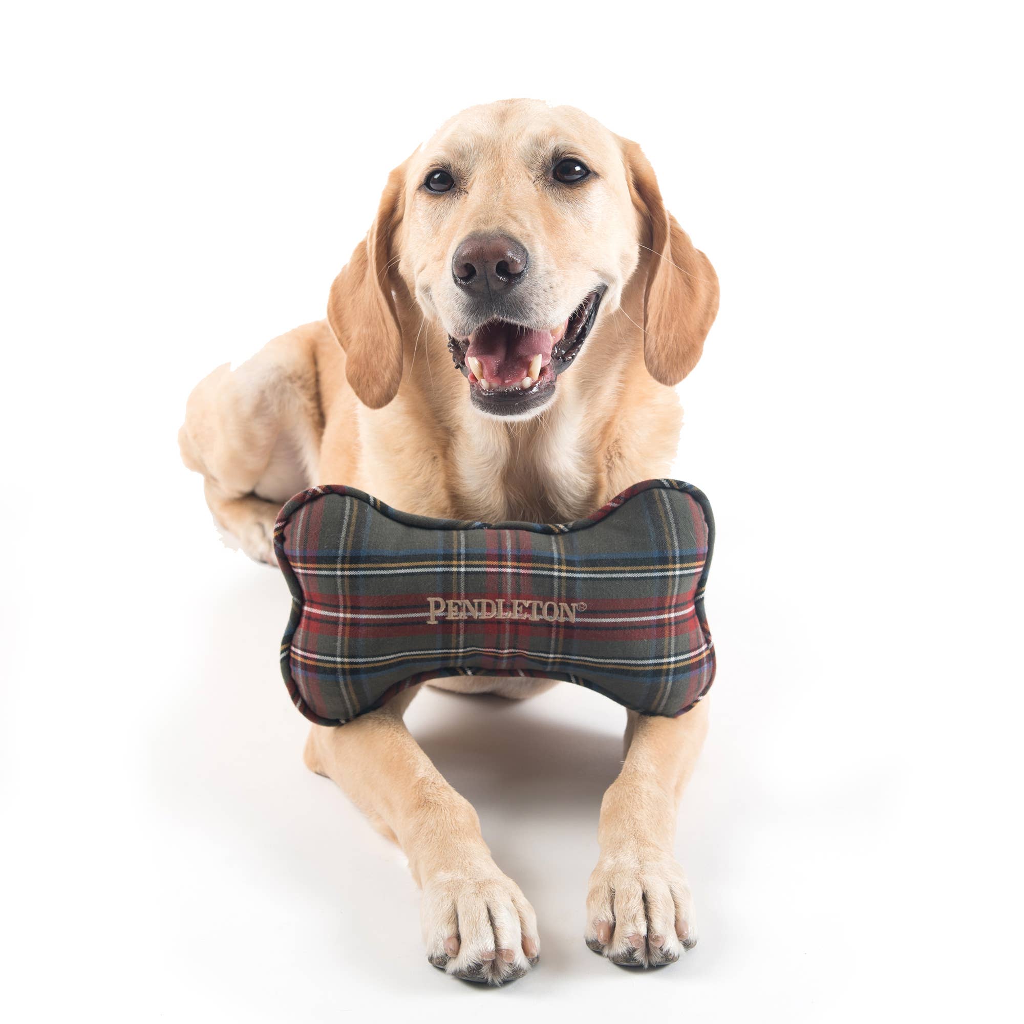 Pendleton Plaid Plush Bone Toy with Squeaker: Grey Stewart Plaid