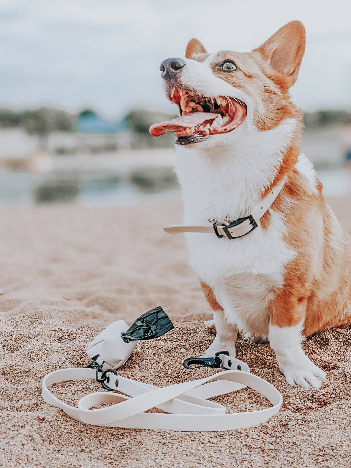 SASSY WOOF - Waterproof Dog Leash - Beige