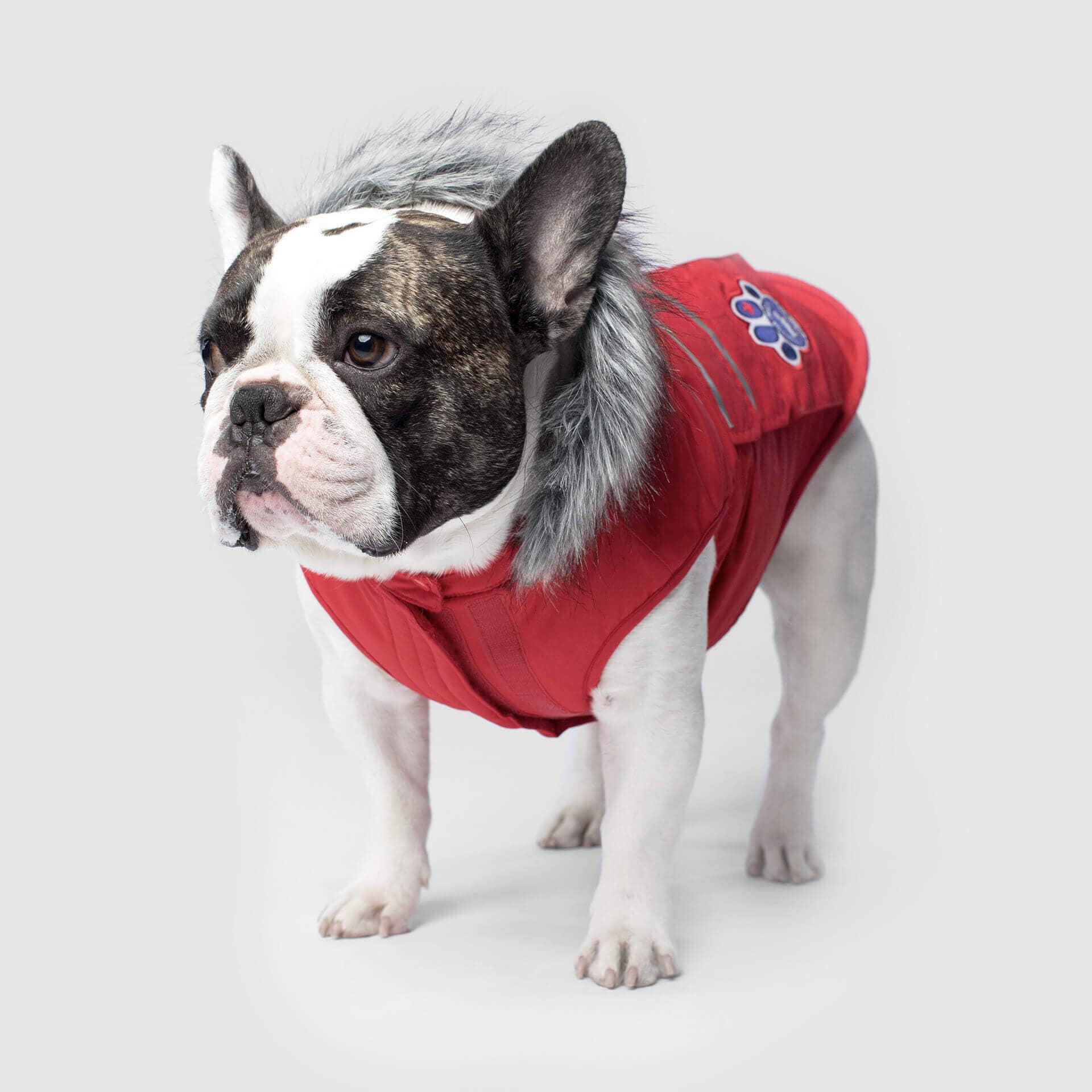 Canada Pooch - Everest Explorer Jacket- Dog Coat: Black / 8