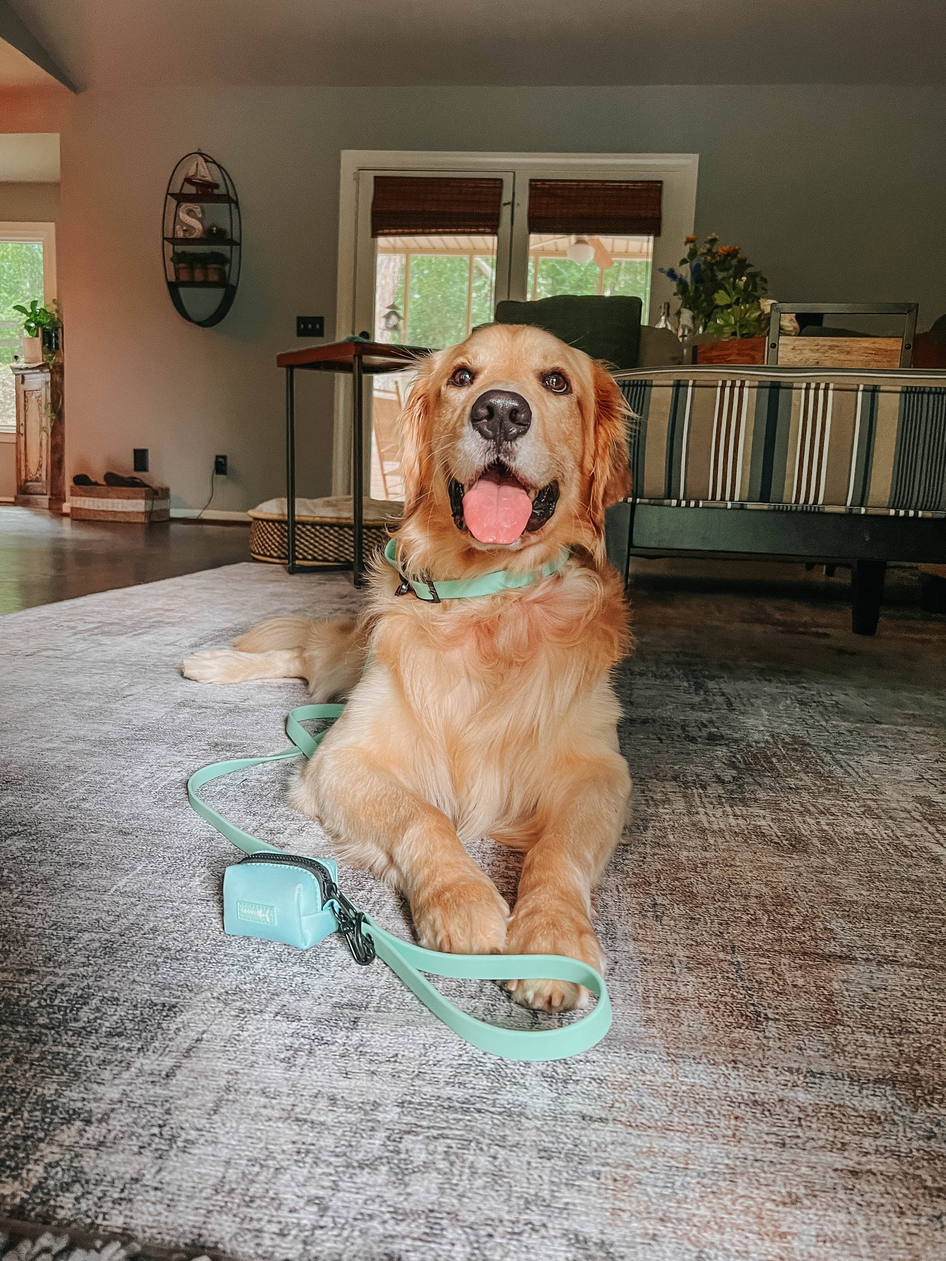 SASSY WOOF - Waterproof Dog Leash - Green