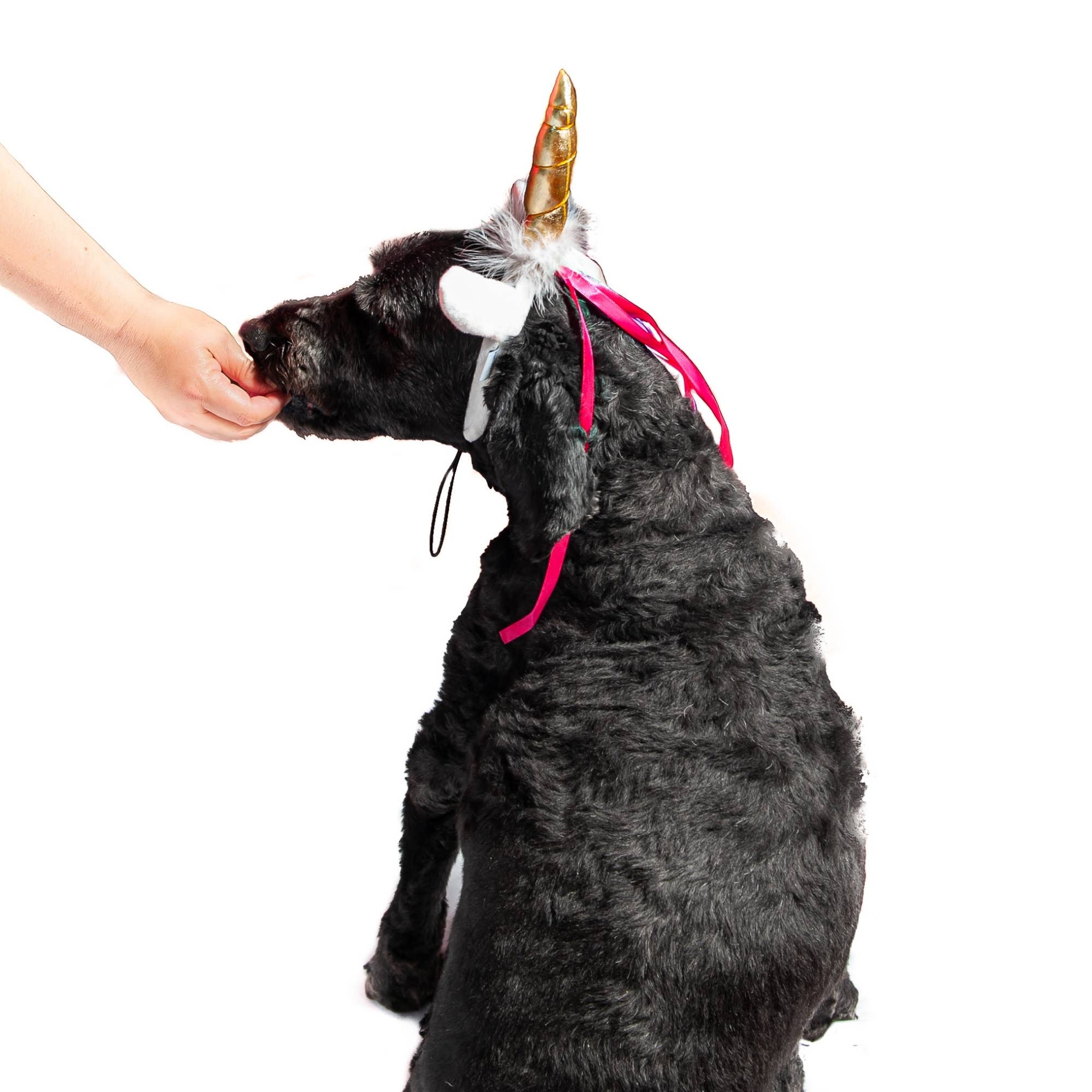 Midlee Designs - Midlee Dog Unicorn Headband Halloween Costume