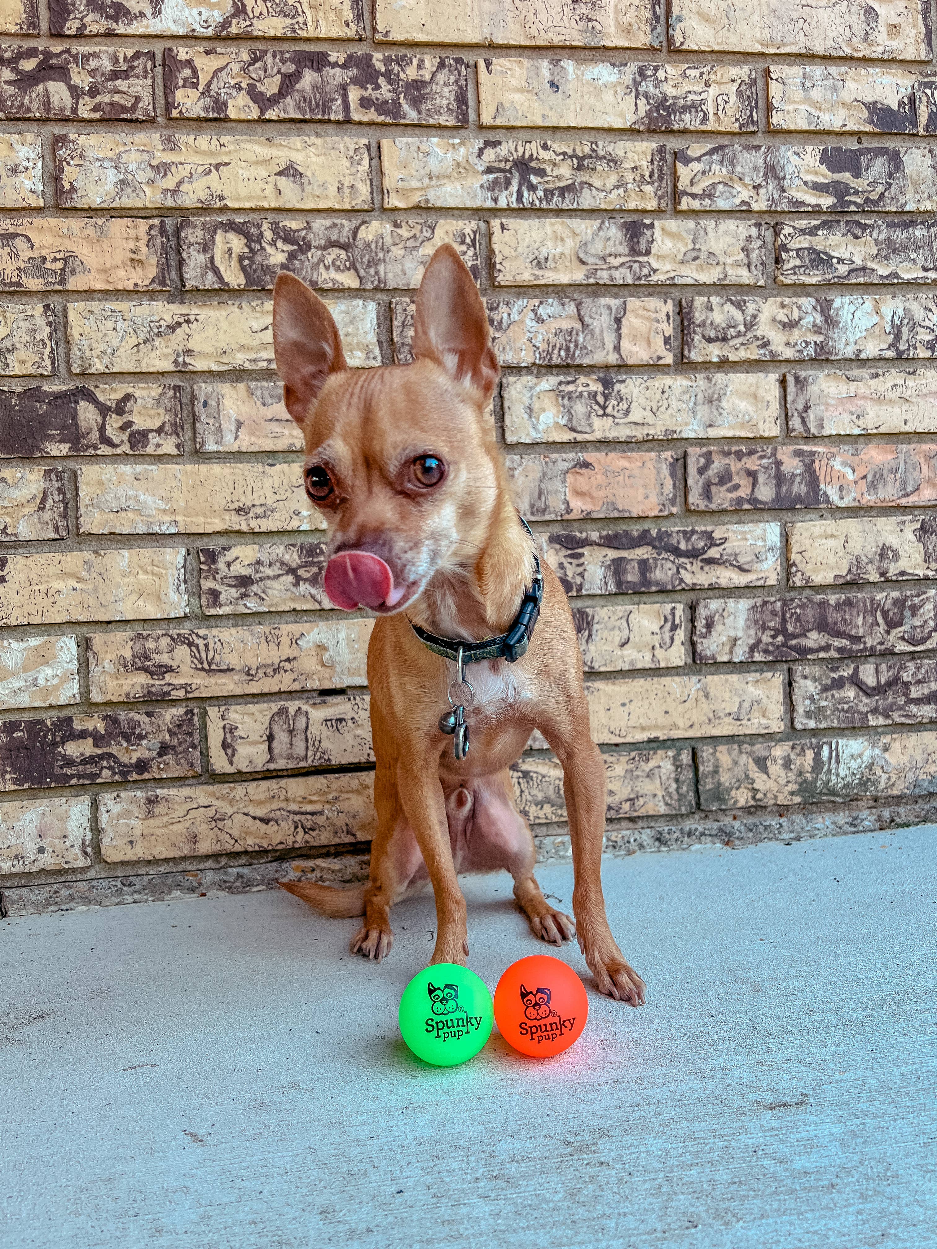 Spunky Pup - Fetch and Glow Ball: Large