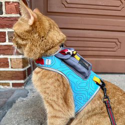 Travel Cat | Your Cat Backpack - "The Pathfinder" Cat Harness with GPS Tracker Pocket - Power: Orange Sunset / L