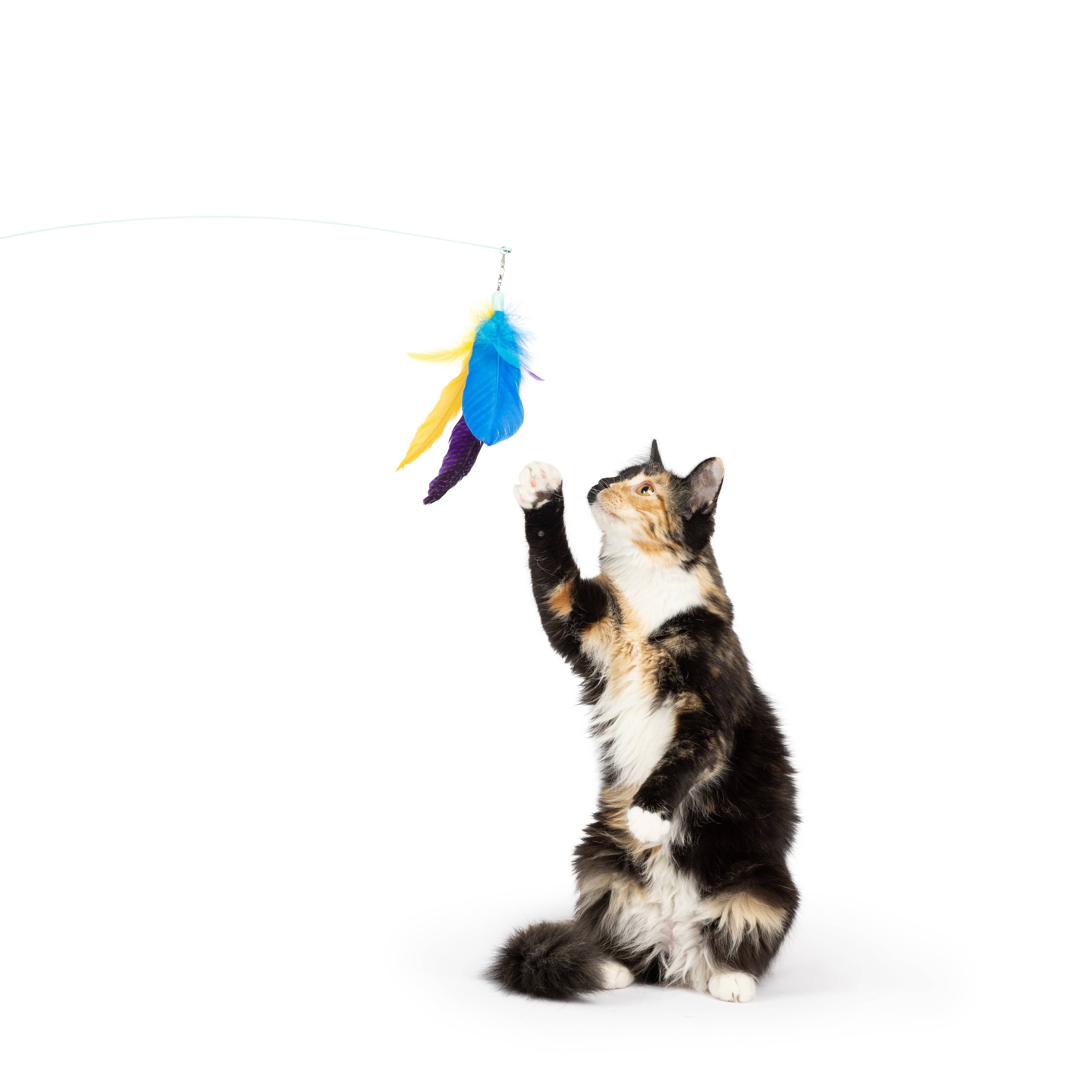 Huxley & Kent - Purple Fishy Feather Teasers 2pk Refill Cat Toy: One Size