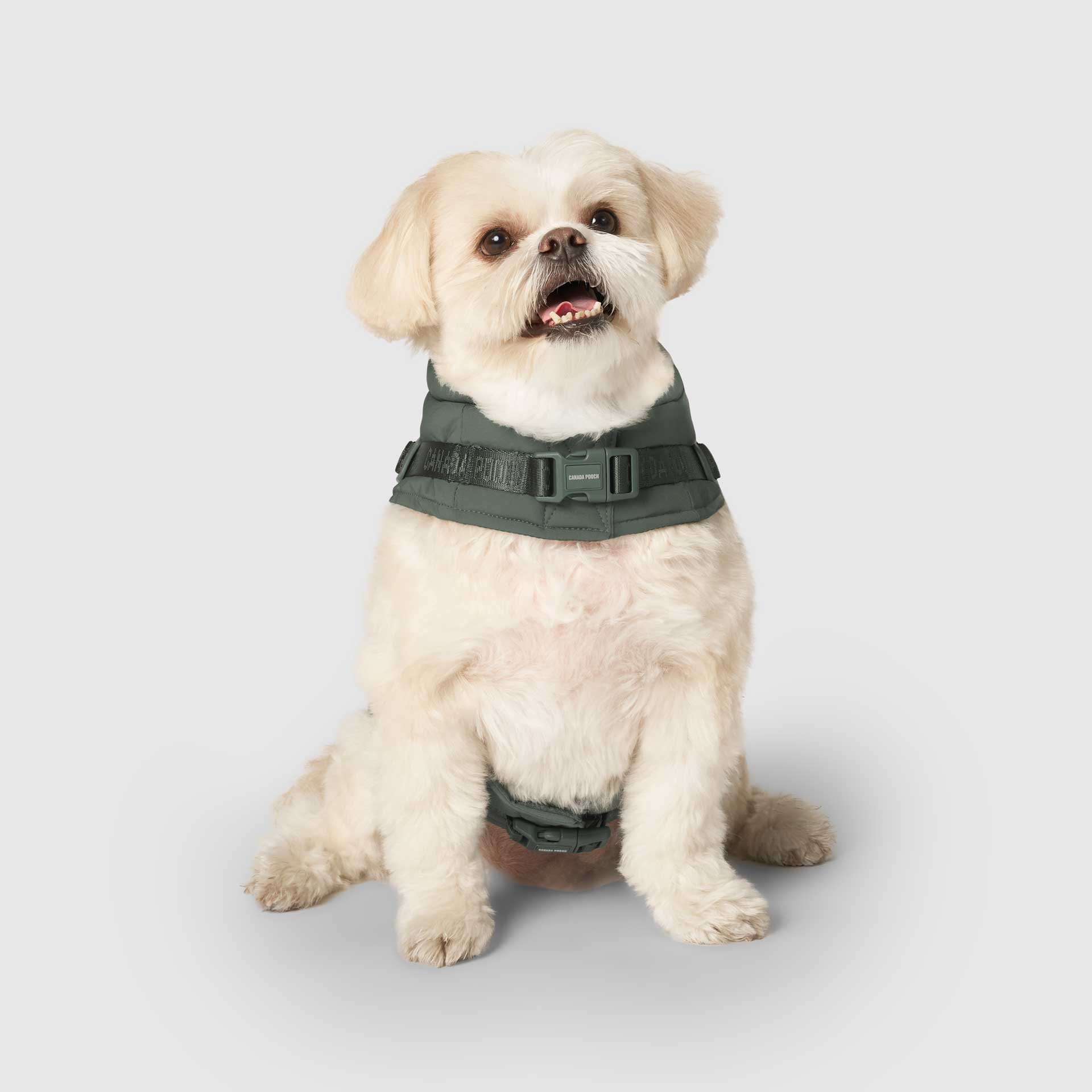 Canada Pooch - Harness Puffer- Dog Coat: Forest Green / 10