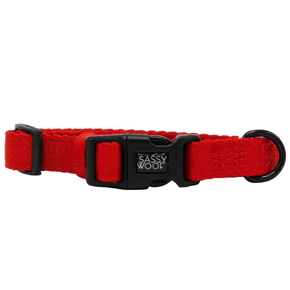 SASSY WOOF - Dog Collar - Neon Red: Large