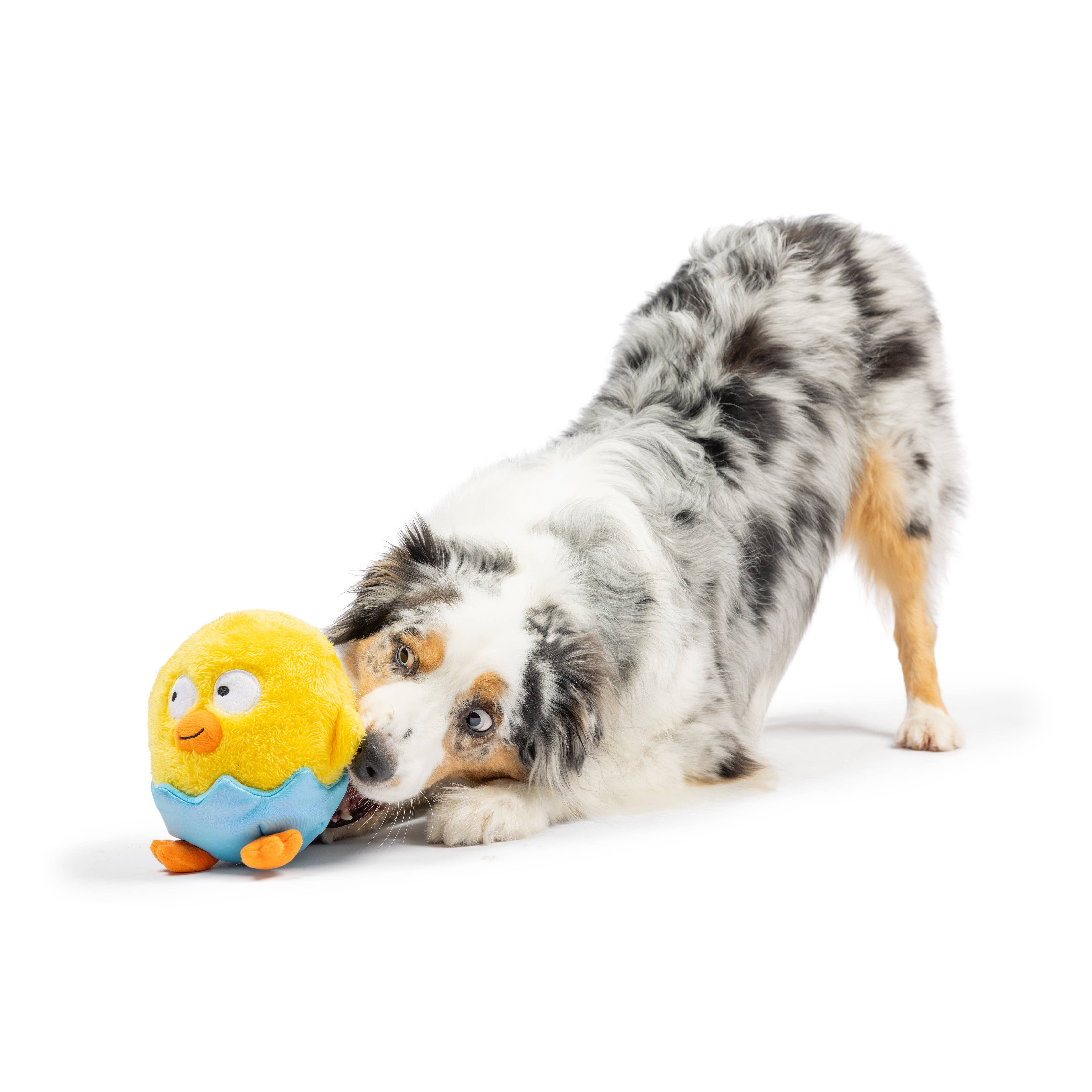 Huxley & Kent - Chick-A-Dee Dog Toy: Small