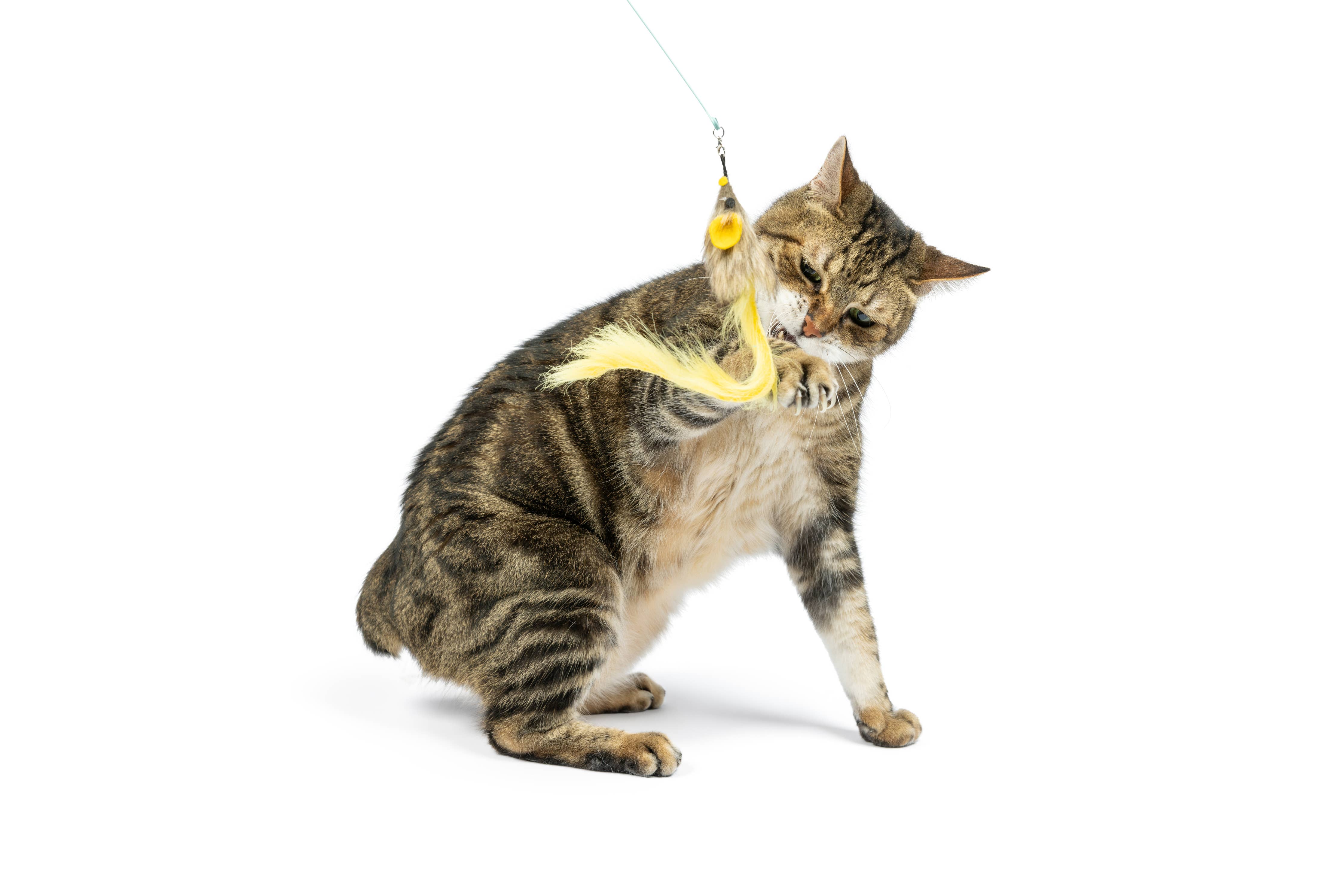 Huxley & Kent - Wire Dragonfly & Mouse Wand Cat Toy: One Size