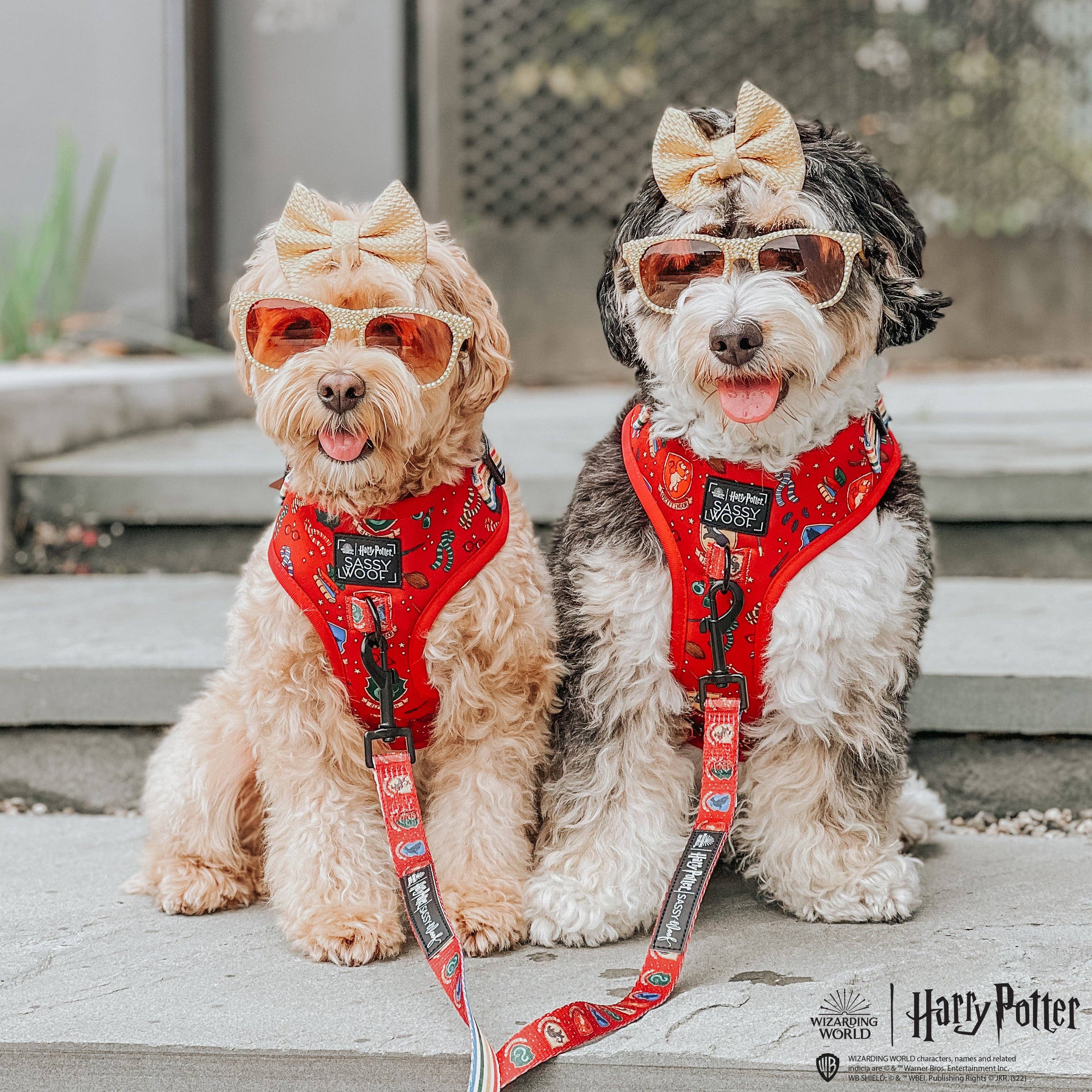 SASSY WOOF - Dog Leash - Harry Potter™