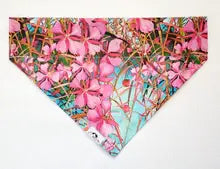 HappyAK - Fireweed Pet Bandana: X Small