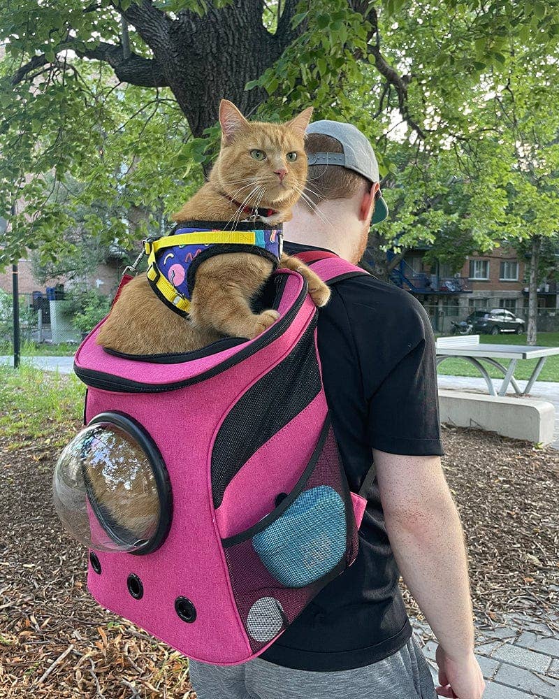 Travel Cat | Your Cat Backpack - "The Fat Cat" Cat Backpack in Deep Rose Pink