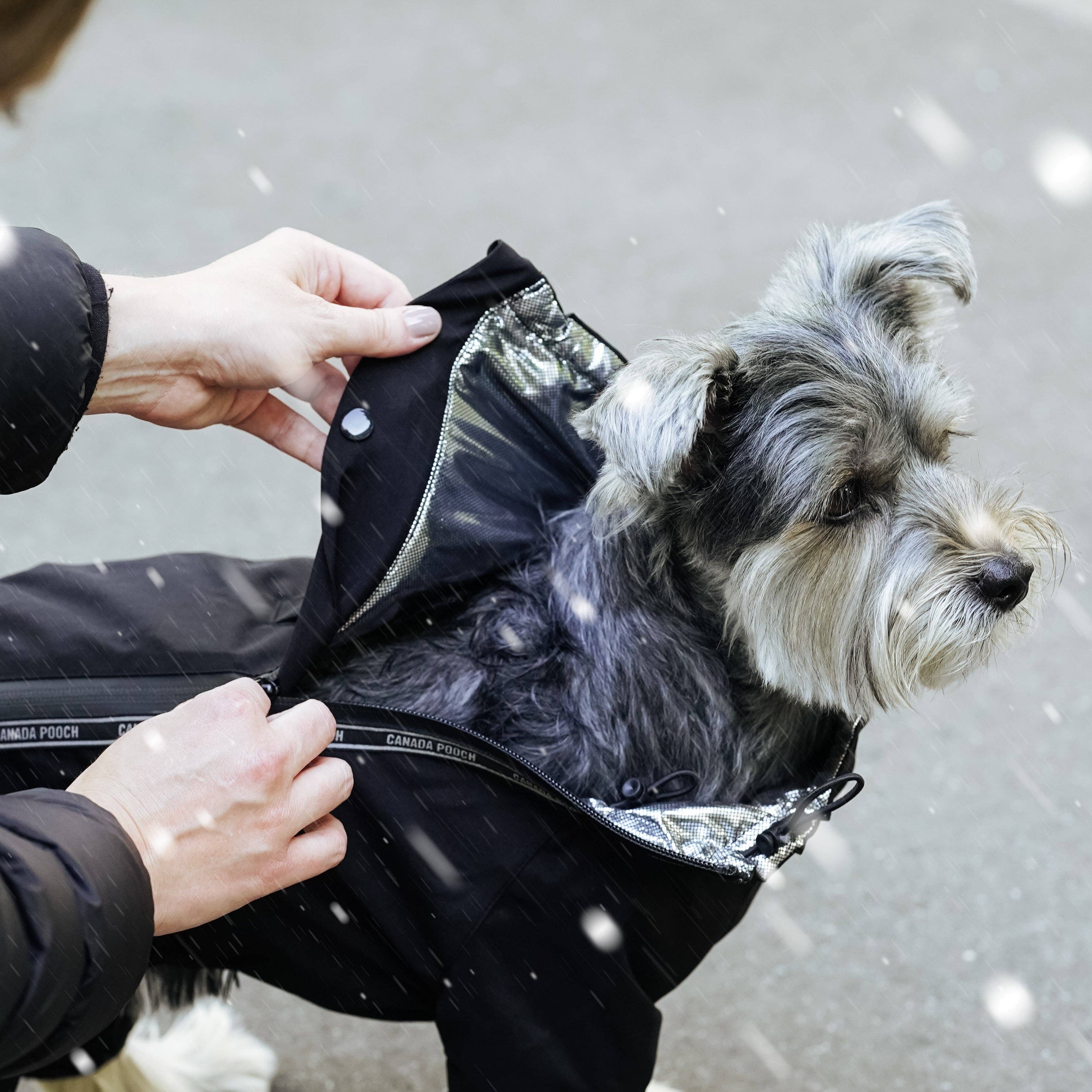 Canada Pooch - The Snow Suit- Dog Suit: Black / 18