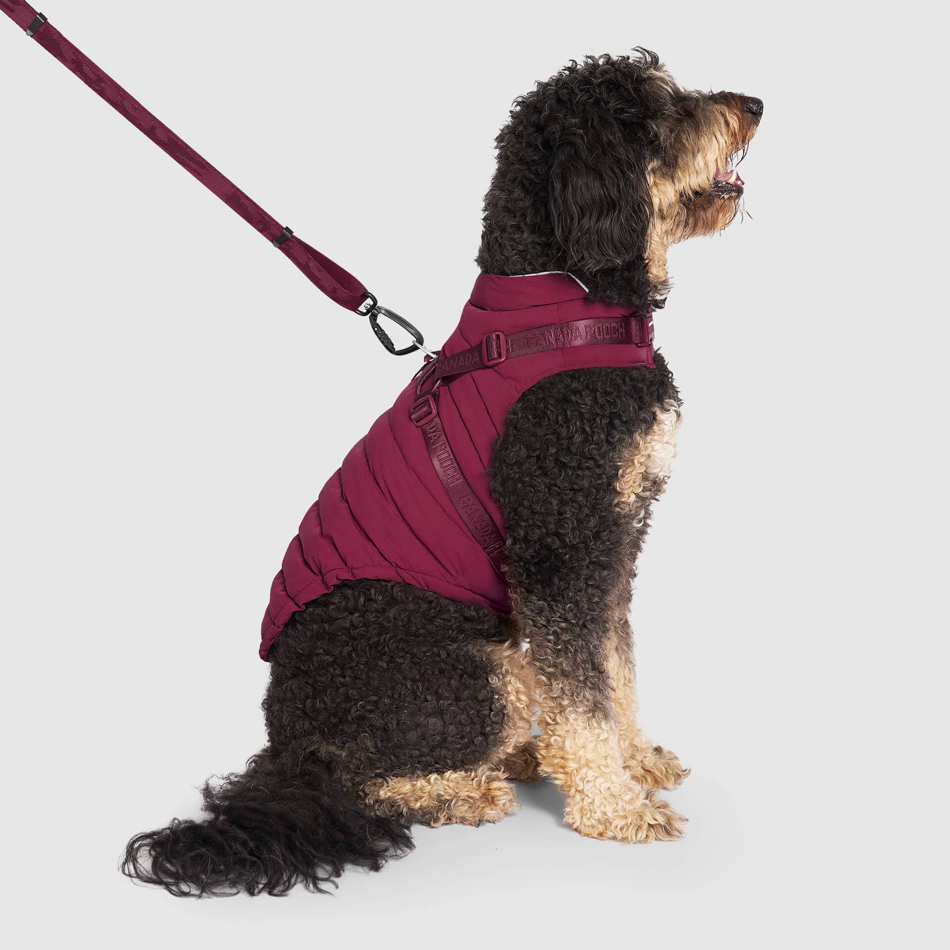 Canada Pooch - Harness Puffer- Dog Coat: Black / 10
