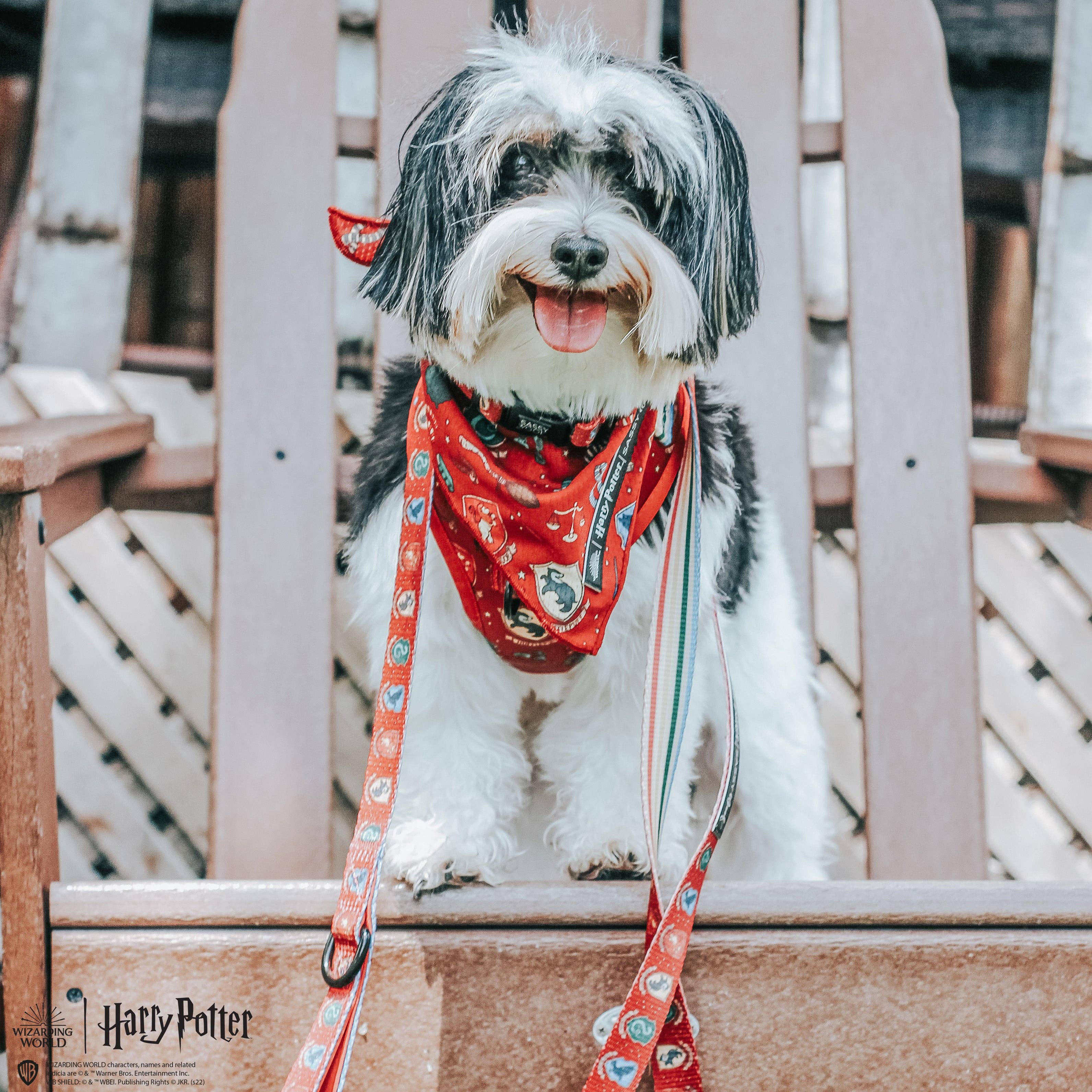 SASSY WOOF - Dog Bandana - Harry Potter™: Medium