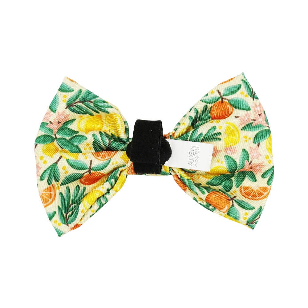 SASSY WOOF - Cat Bowtie - Zest Friends