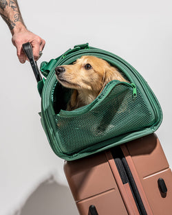 Wild One - Travel TSA Compliant Pet Dog Carrier: Spruce