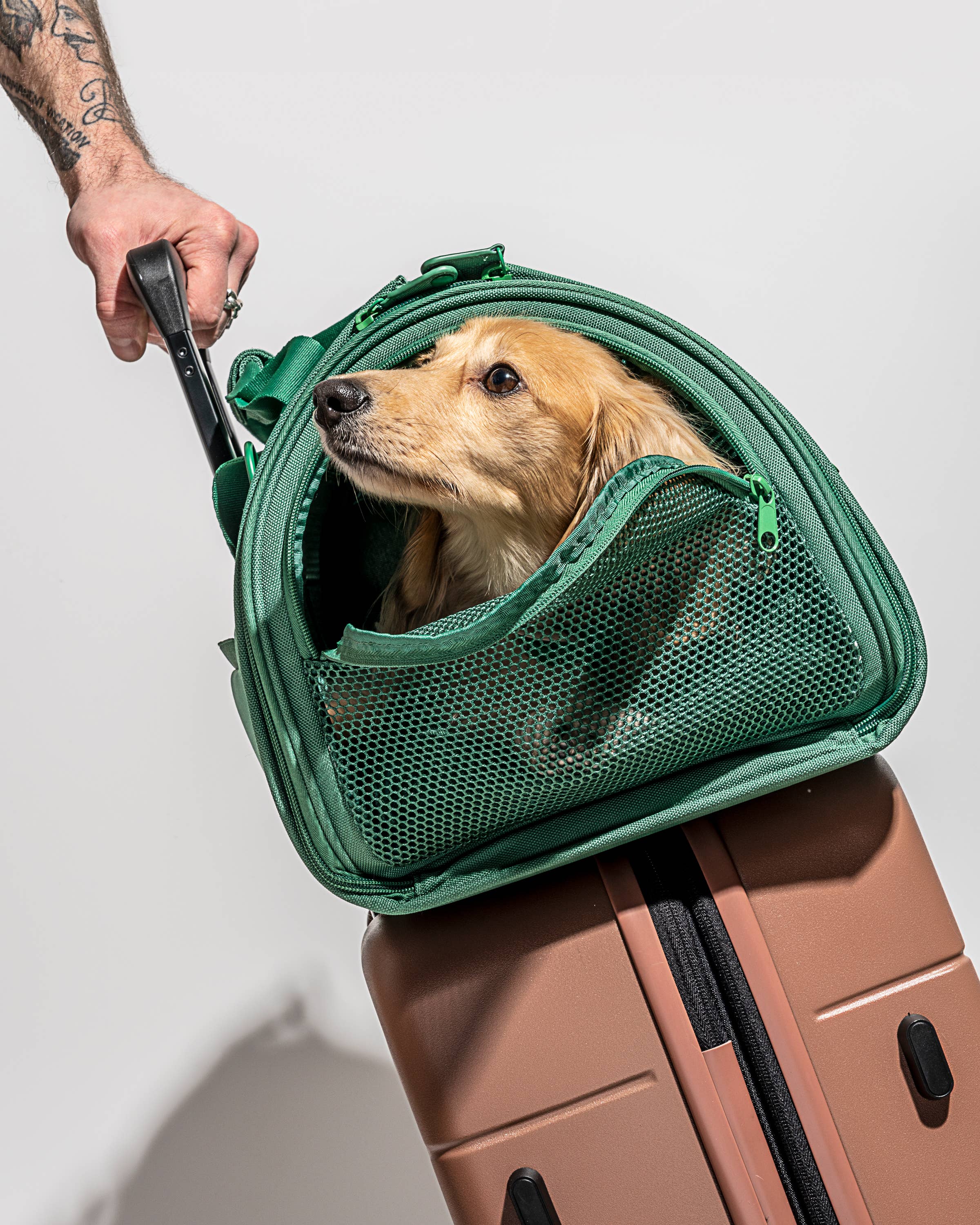 Wild One - Travel TSA Compliant Pet Dog Carrier: Tan