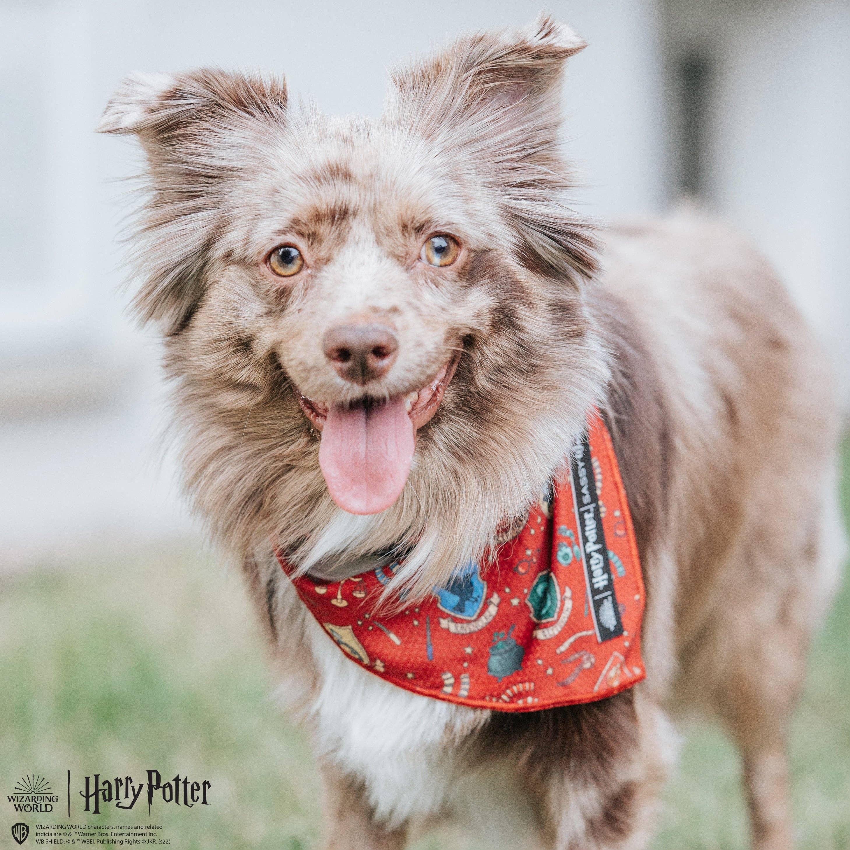 SASSY WOOF - Dog Bandana - Harry Potter™: Medium
