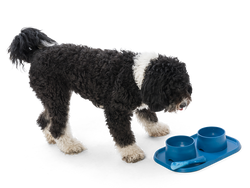 West Paw - No-Slip Dog Feeding Water Bowl: Kelp