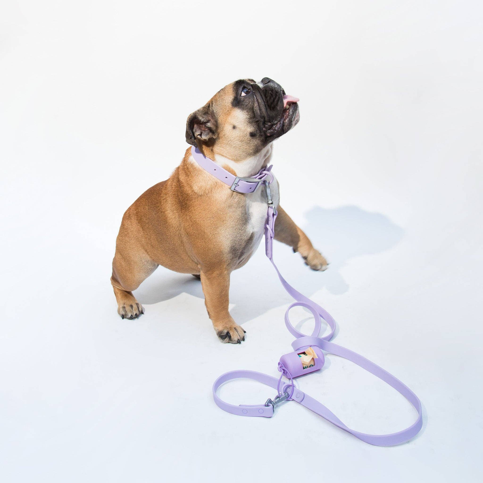 dogged - Dogged basics collar - lavender: S