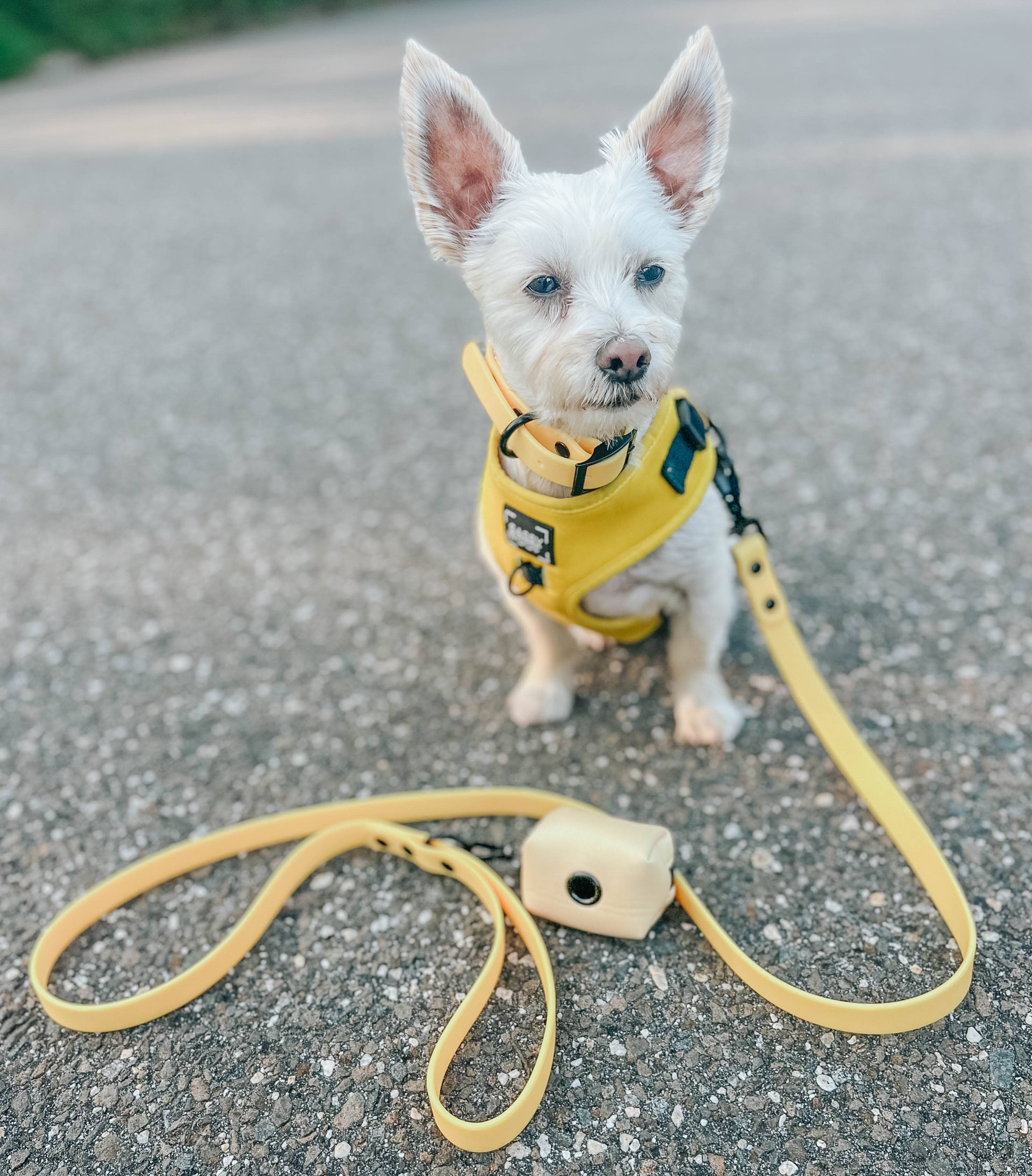 SASSY WOOF - Waterproof Dog Leash - Yellow