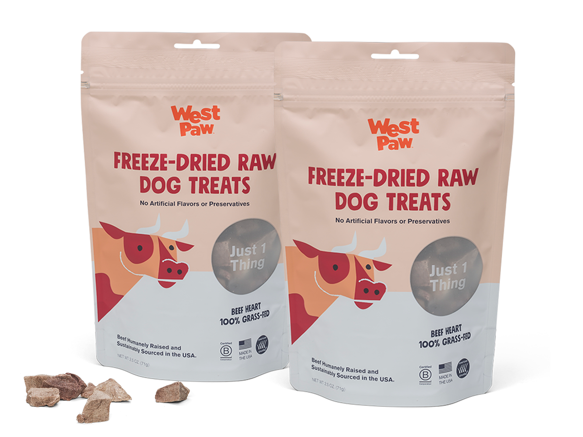 West Paw - Freeze-Dried Beef Heart Single-Ingredient Dog Treats: 2.5 Ounce