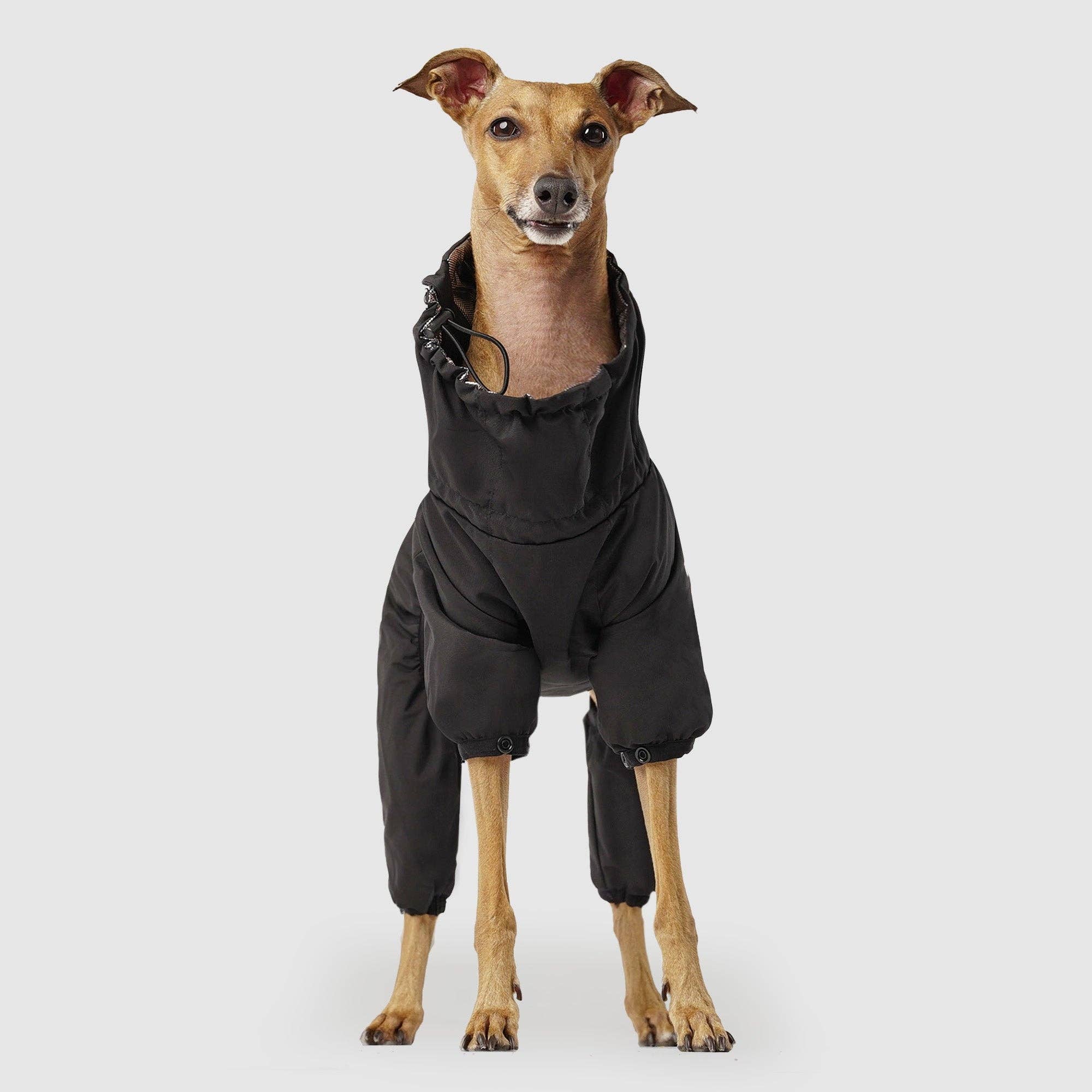 Canada Pooch - The Snow Suit- Dog Suit: Black / 10
