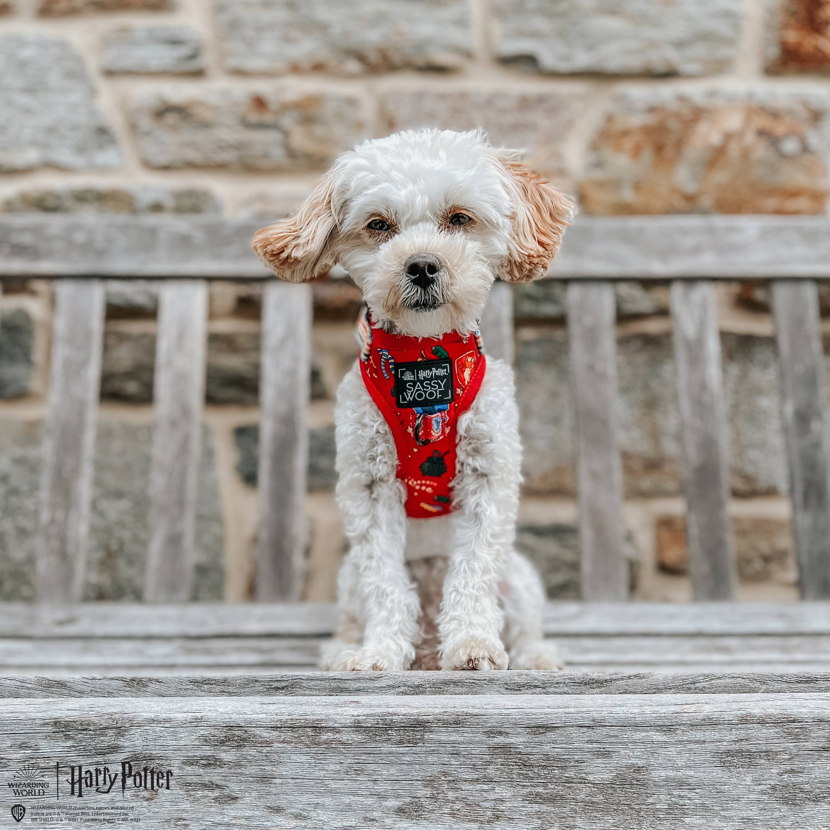 SASSY WOOF - Dog Adjustable Harness - Harry Potter: S