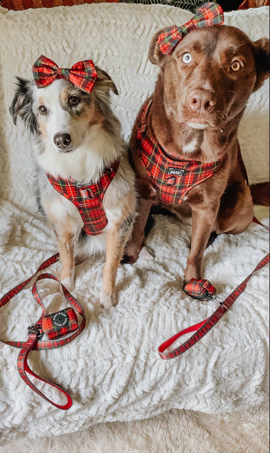 SASSY WOOF - Dog Sailor Bow - Deck the Paws (Christmas)