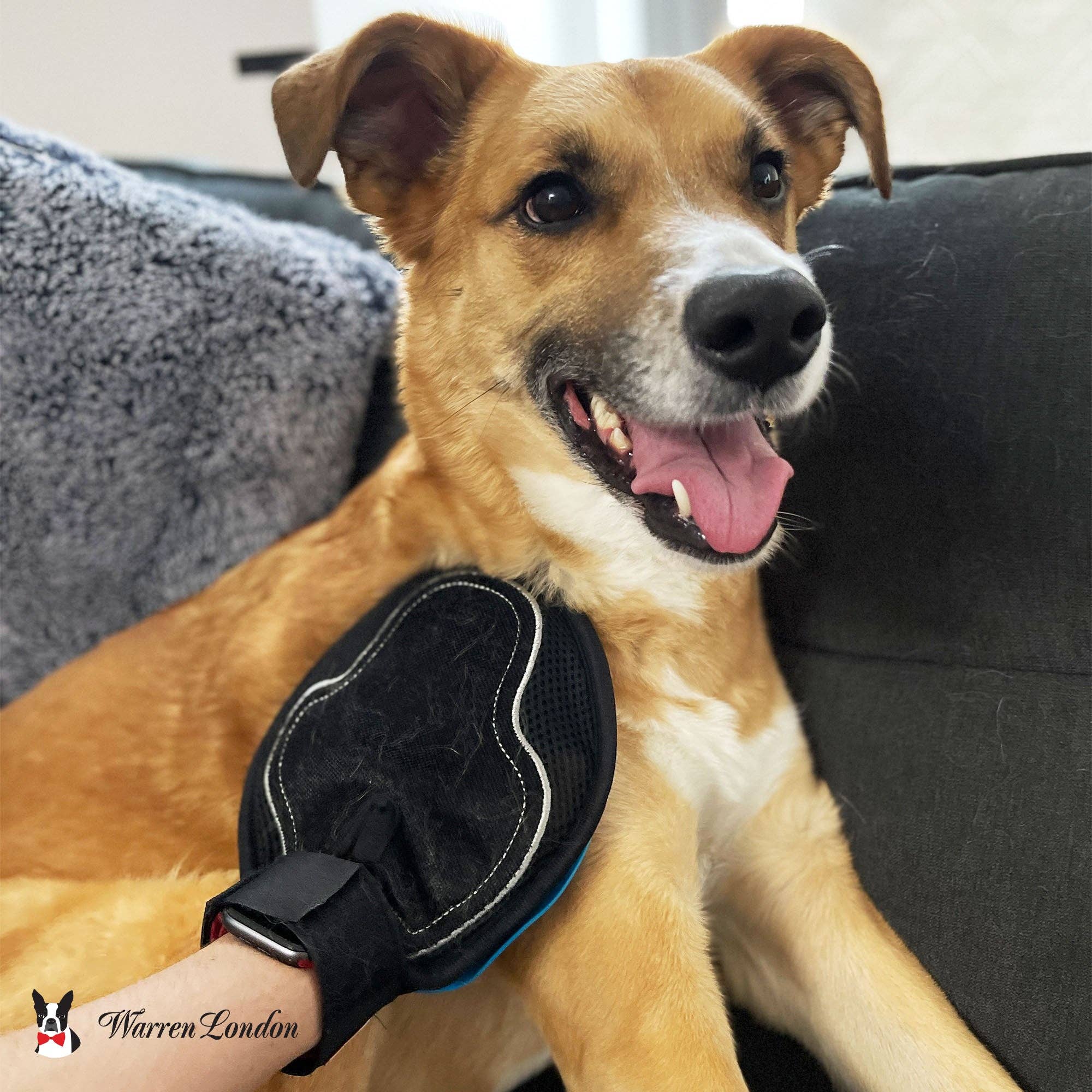 Warren London Dog Products - 2 in 1 Pet Grooming Glove for Dogs & Cats - Double Sided