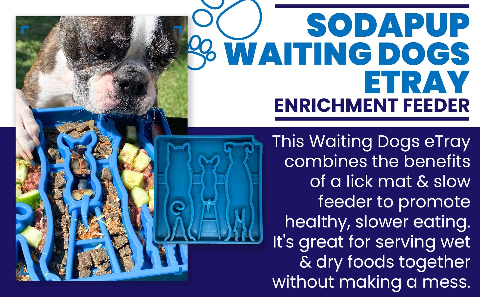 SodaPup Dog Toys - Waiting Dogs Design eTray Enrichment Tray for Dogs