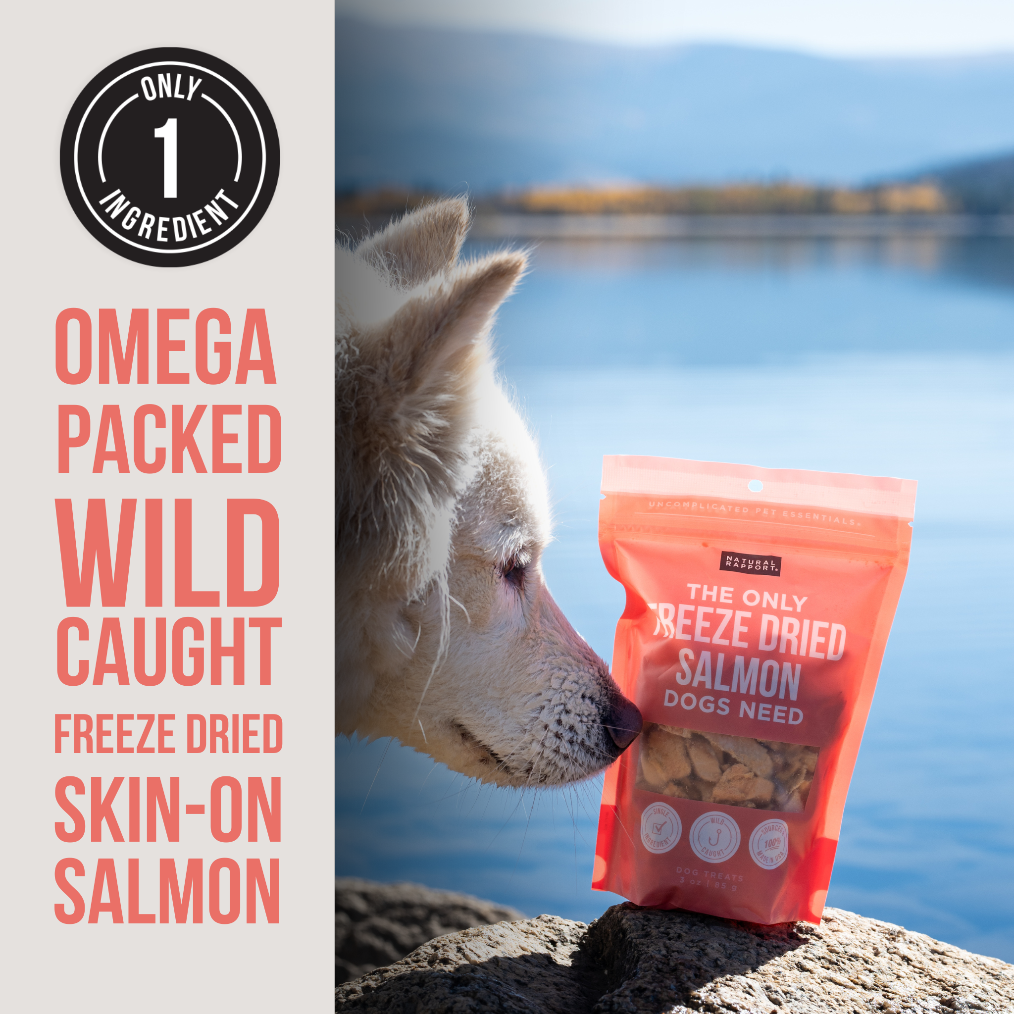 Natural Rapport - The Only Freeze Dried Salmon Dogs Need: 3 ounce