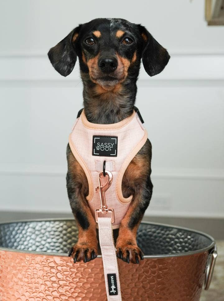 SASSY WOOF - Dog Adjustable Harness - Pinot: XL