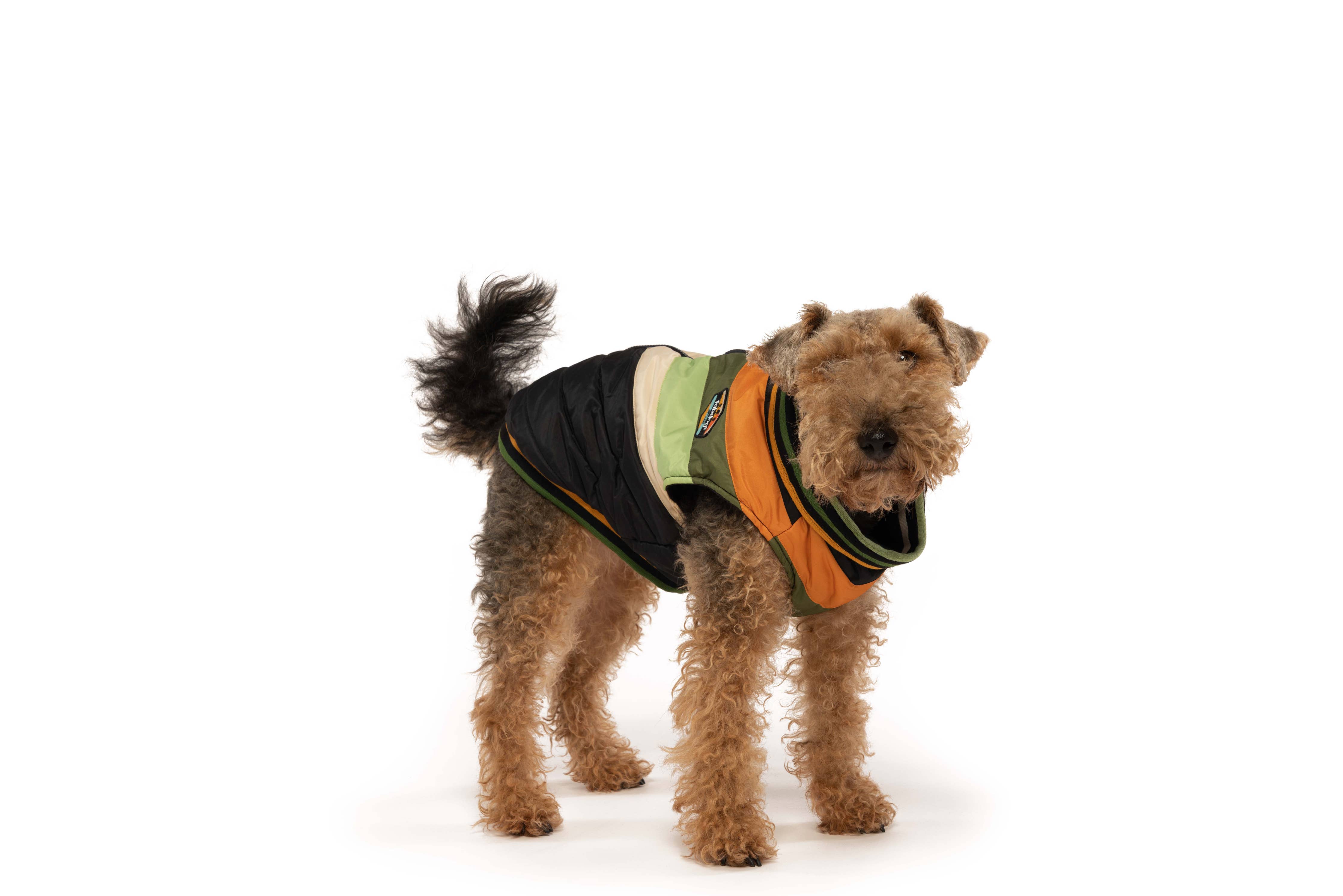 fabdog - Chevron Dog Coat Black: 10"