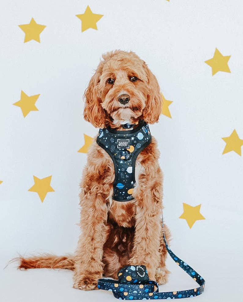 SASSY WOOF - Dog Leash - To the Stars and Beyond