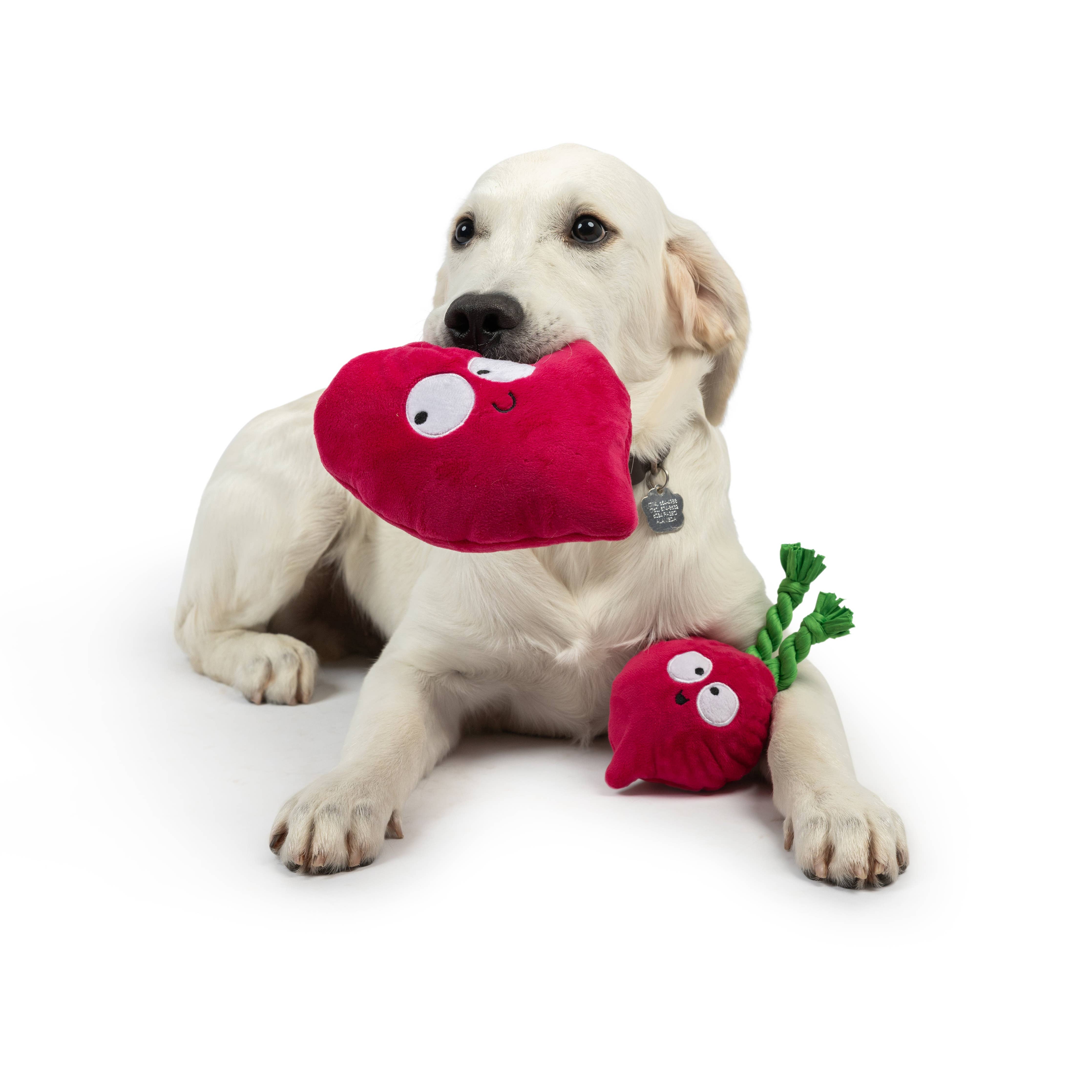 Huxley & Kent - Pop 'n Fetch Beet Dog Toy: Small