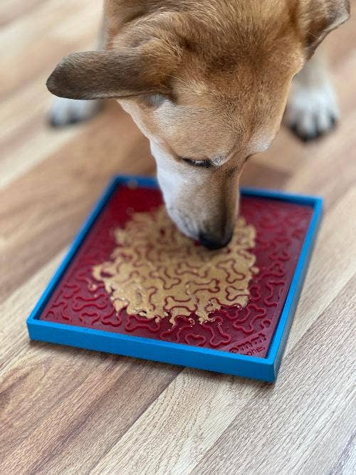 SodaPup Dog Toys - Hold 'em Suction Cup Holder for eBowls, eTrays, and eMats: Light Blue