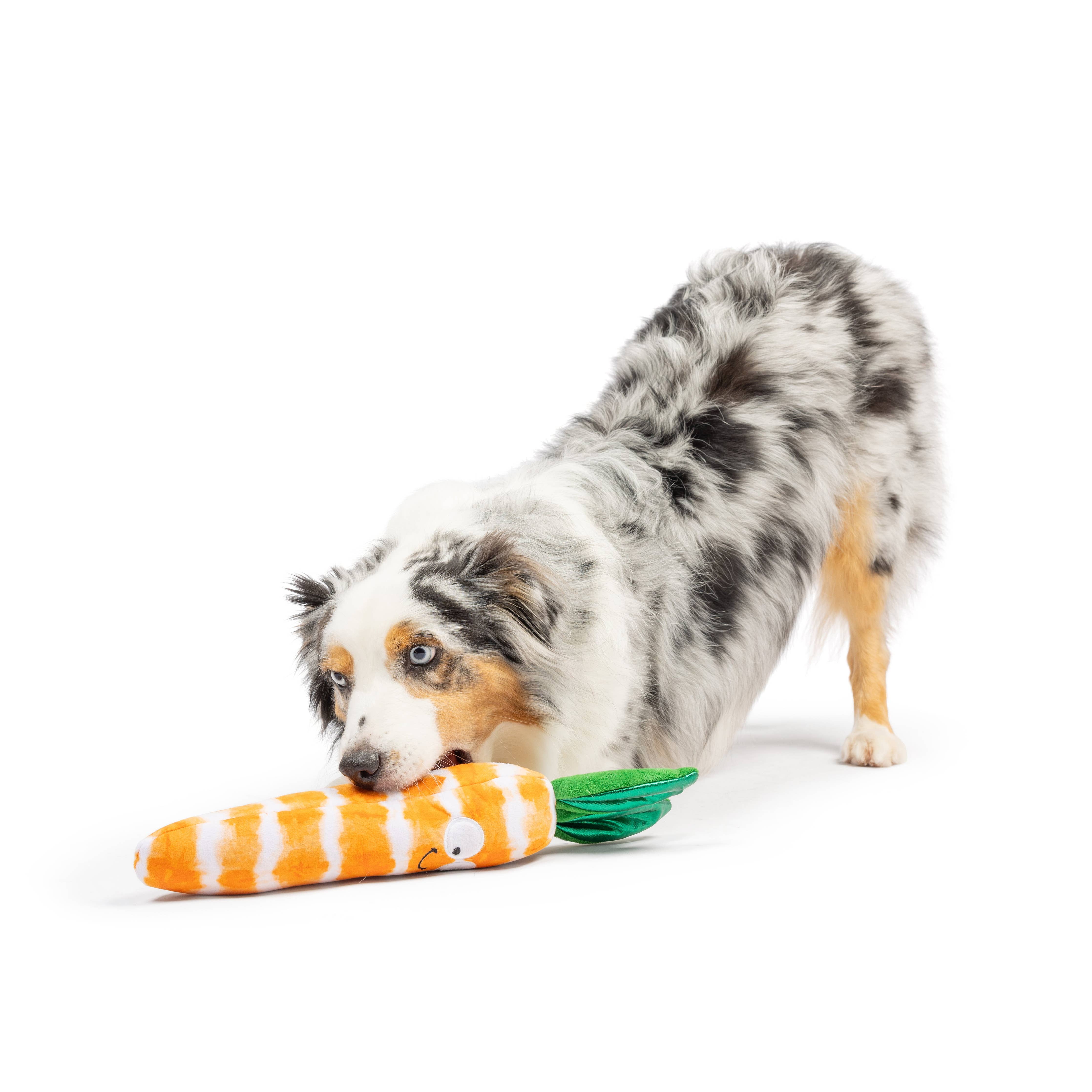 Huxley & Kent - Fetchies® Sweet Carrot Dog Toy: Large