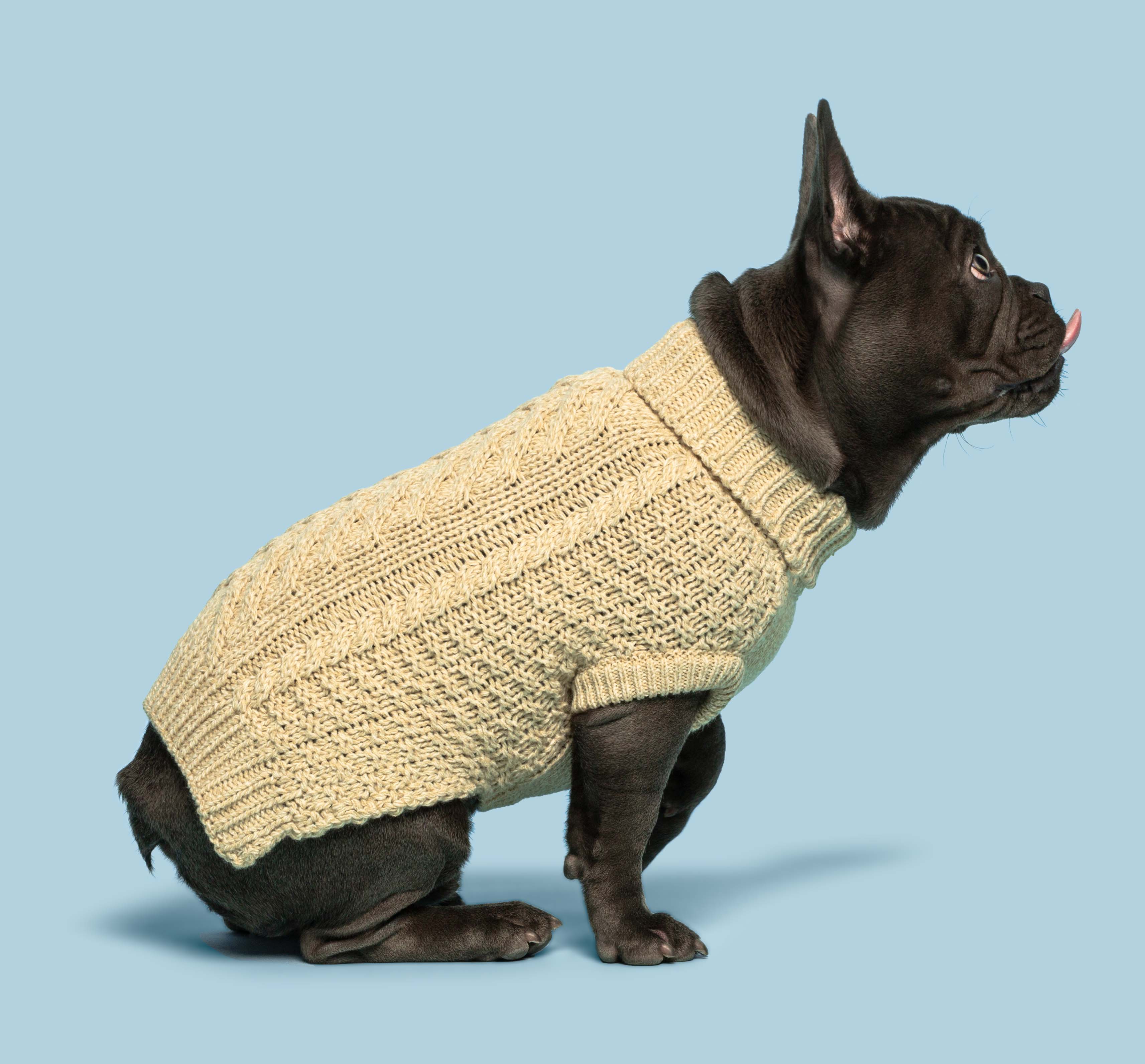 fabdog - Oatmeal Super Chunky Dog Sweater: 10 