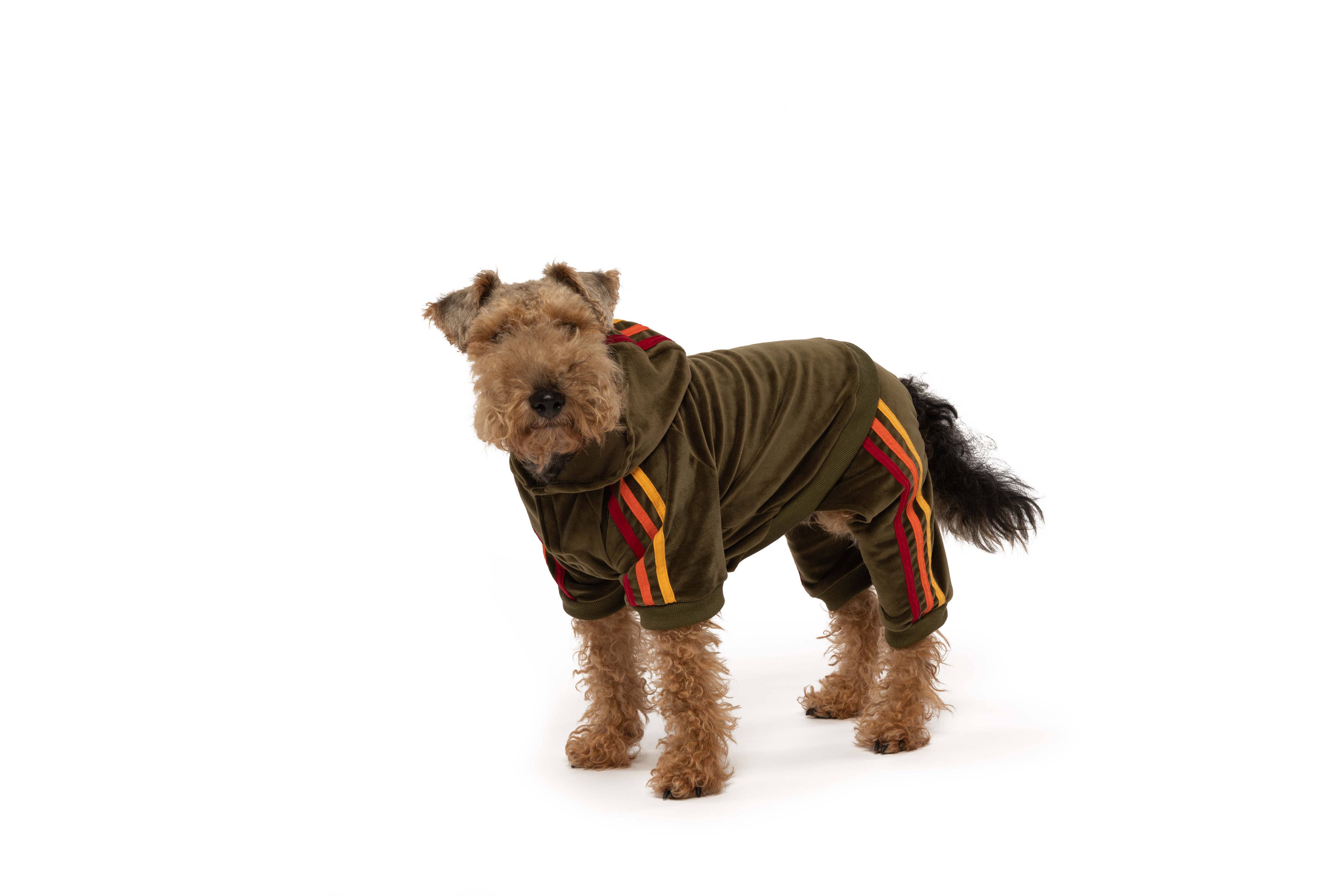 Olive Velour Dog Jogger: 10