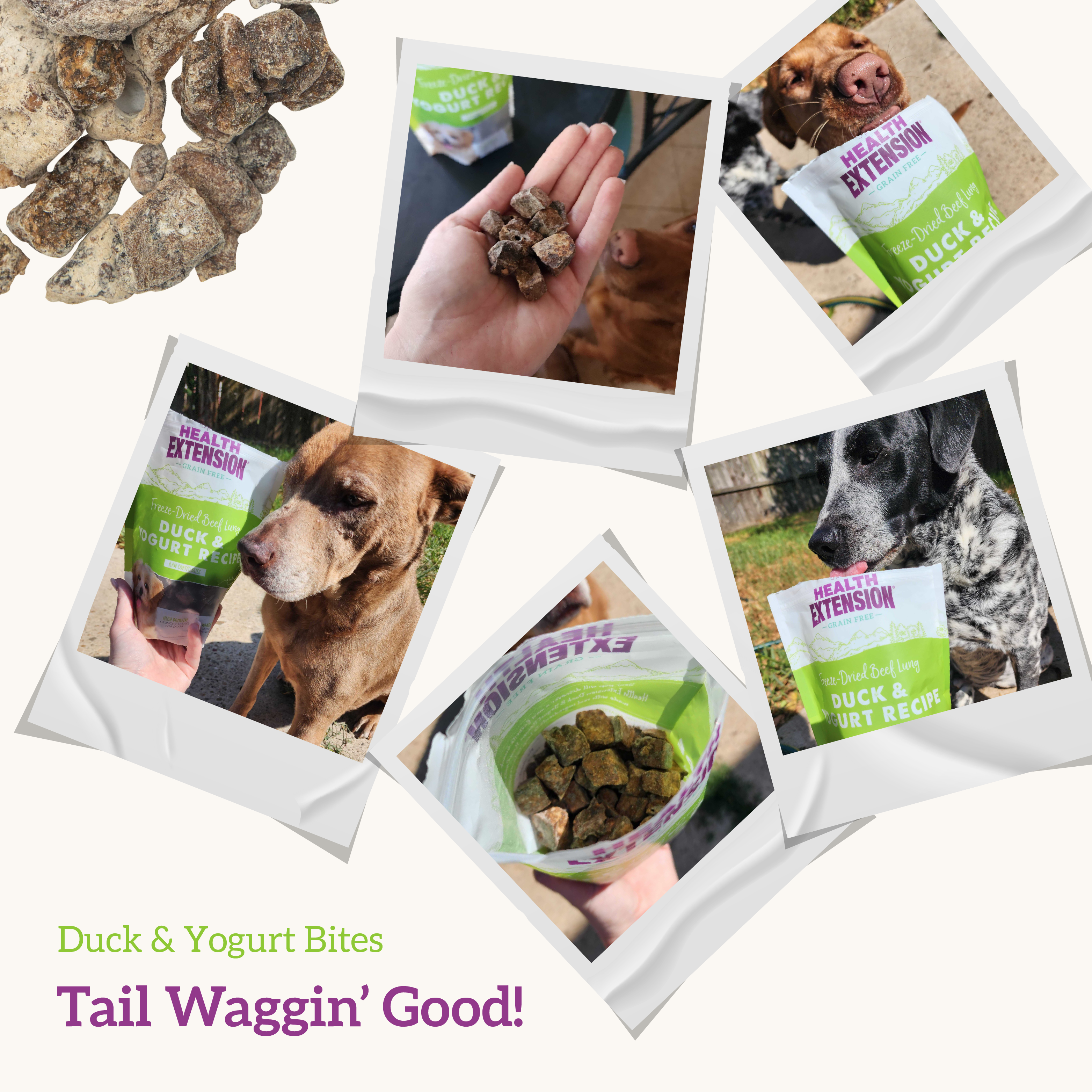 Health Extension Pet Care - Freeze Dried Duck & Yogurt Bully Puffs: 5-ounces