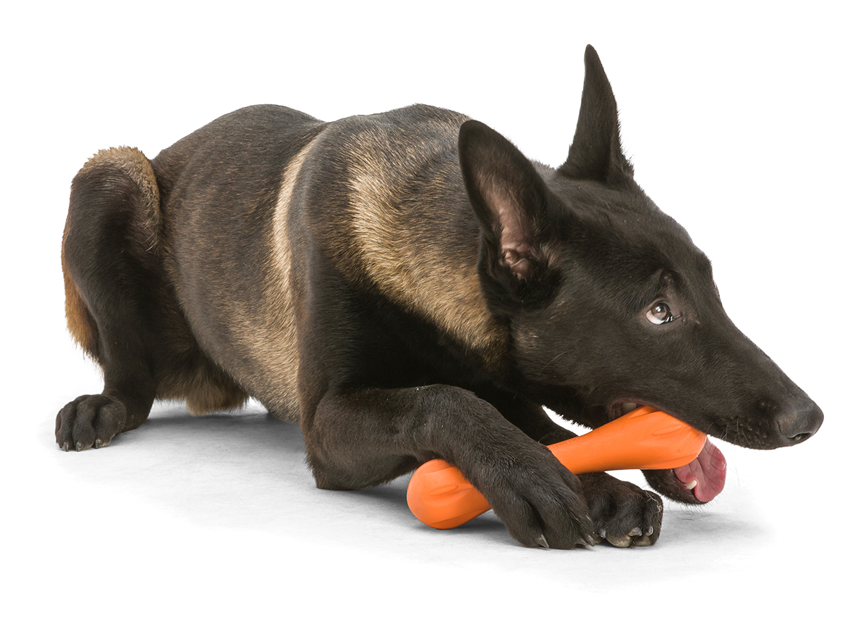 West Paw Hurley® Dog Toy for Chew, and Fetch: XS Orange