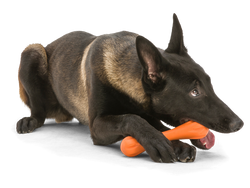 West Paw Hurley® Dog Toy for Chew, and Fetch: XS Orange