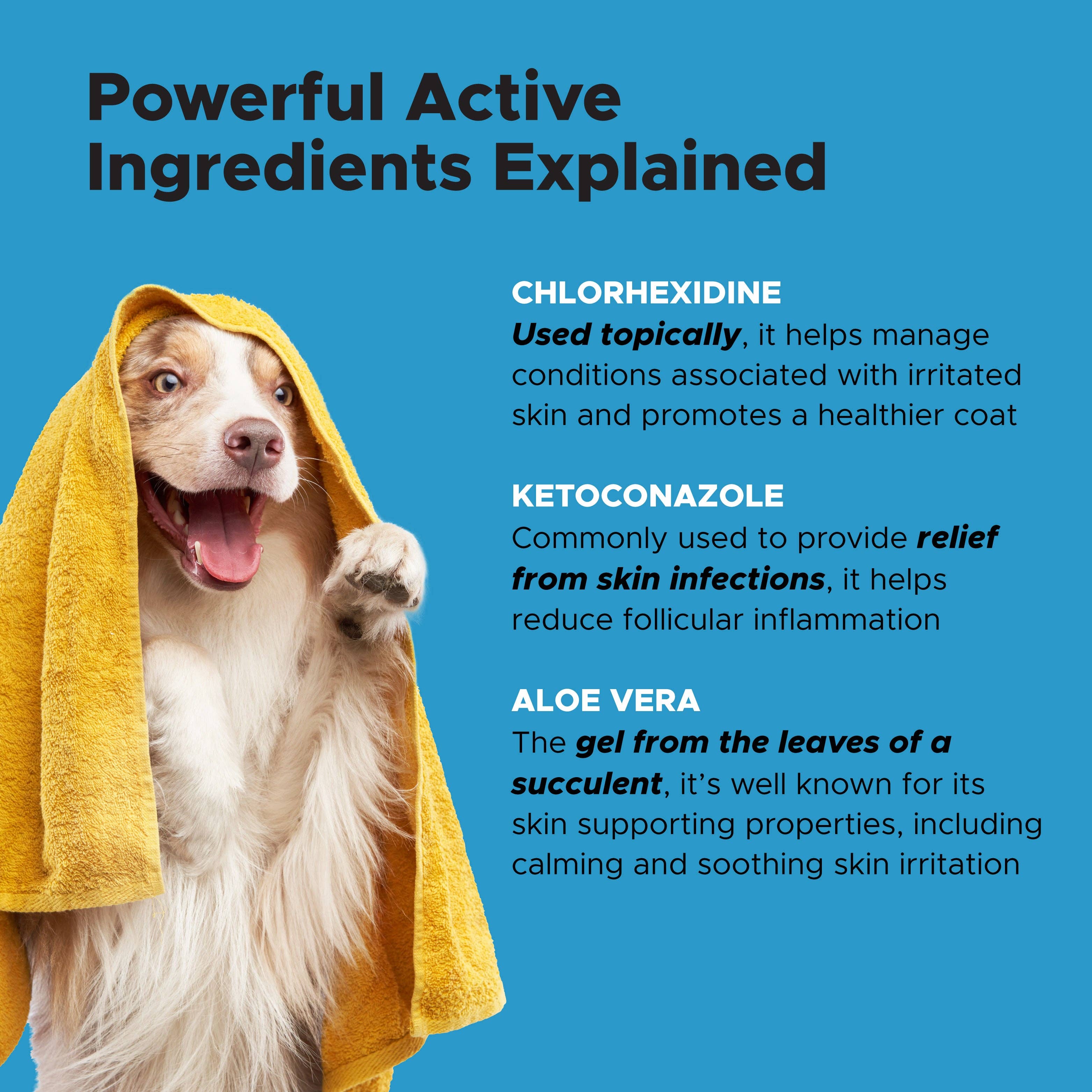 Pet Honesty - Chlorhexidine Shampoo (16 Ounce)